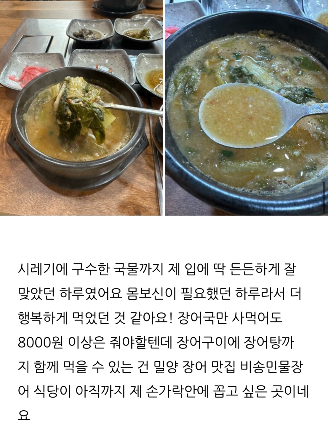 비송민물장어