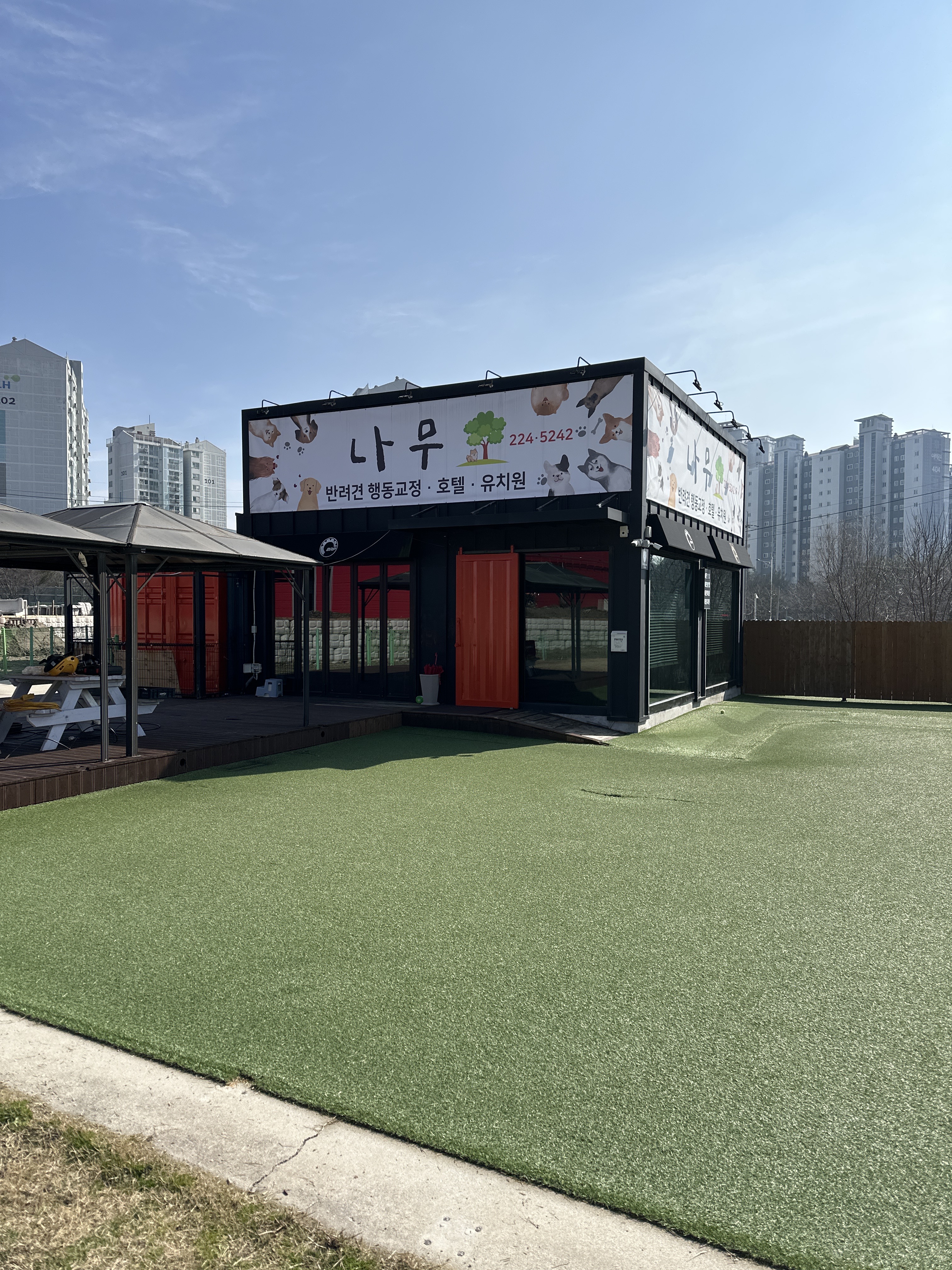 나무 대표 이미지