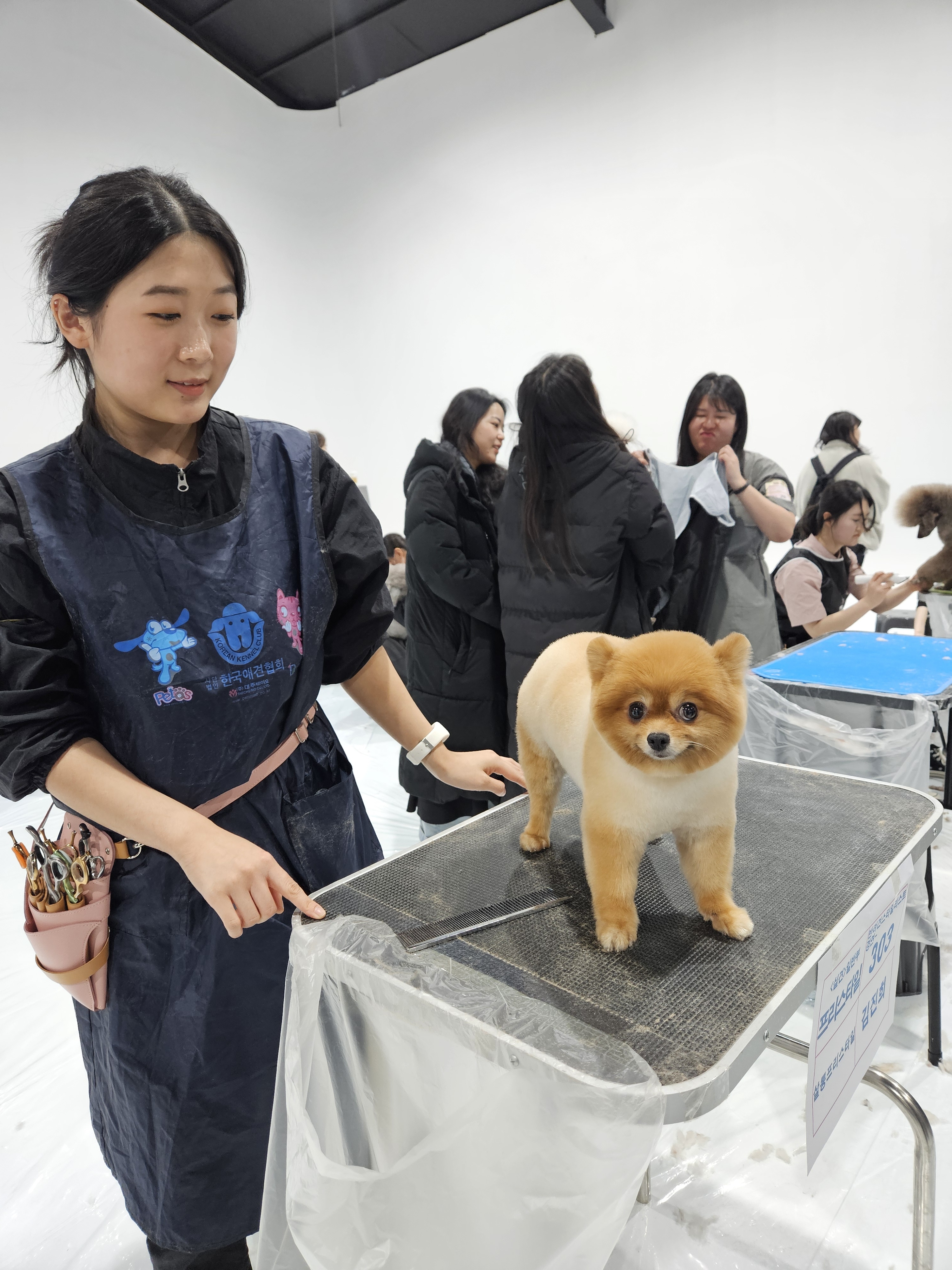 쿨펫애견미용학원 수원점