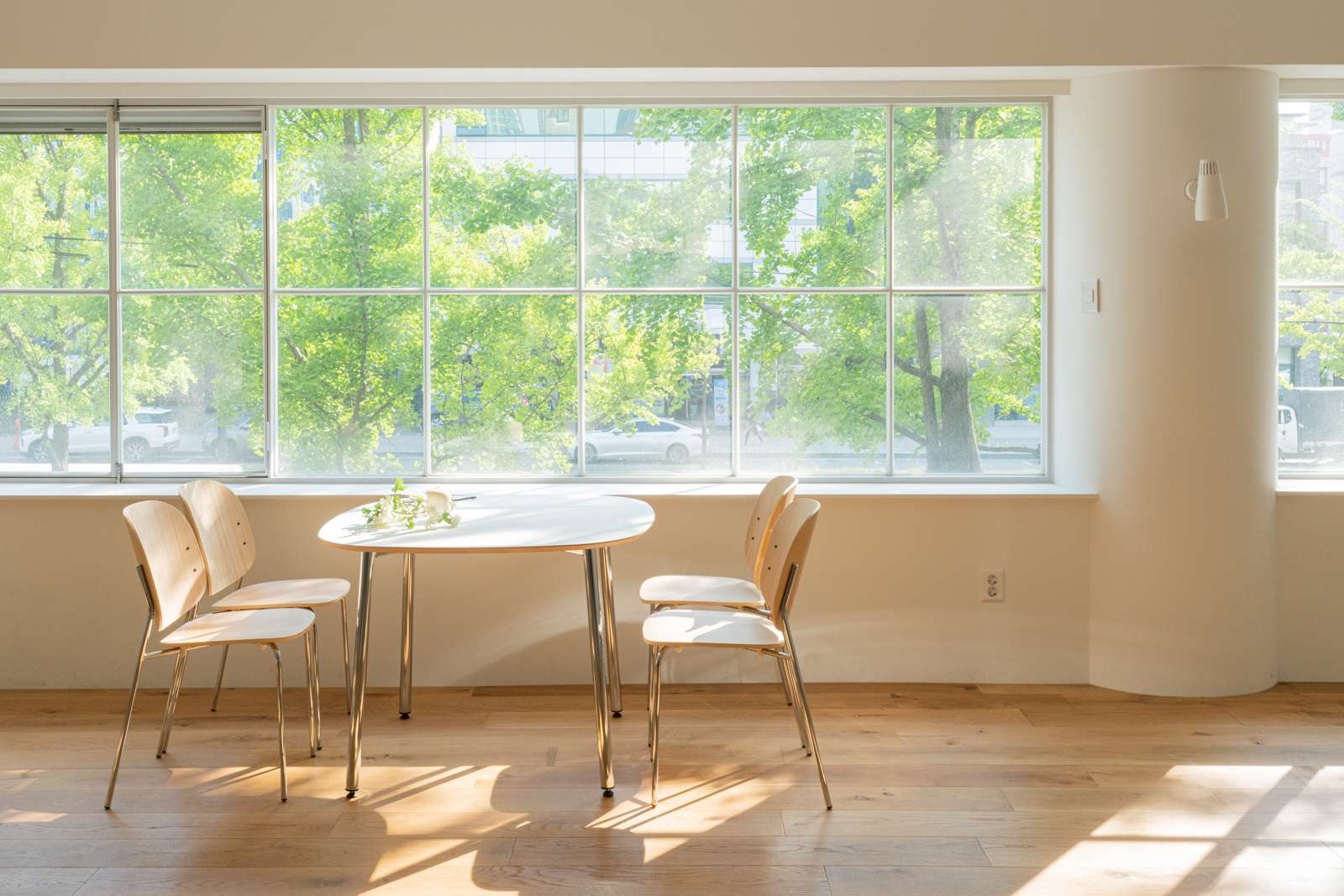 니로스냅 대표 이미지