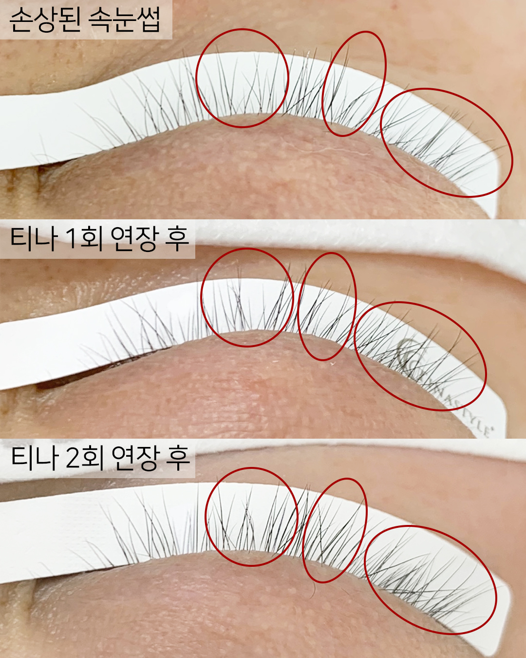 티나스타일 강남본점 대표 이미지