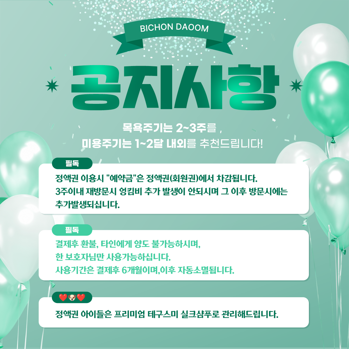 비숑다움 대표 이미지