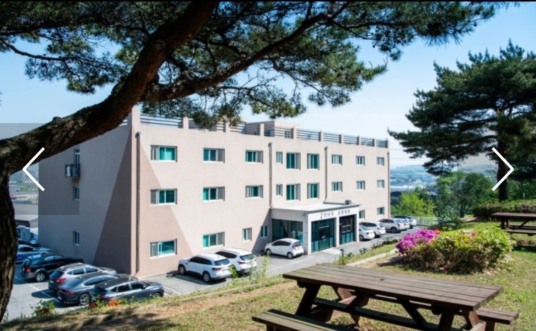 큰나무요양병원