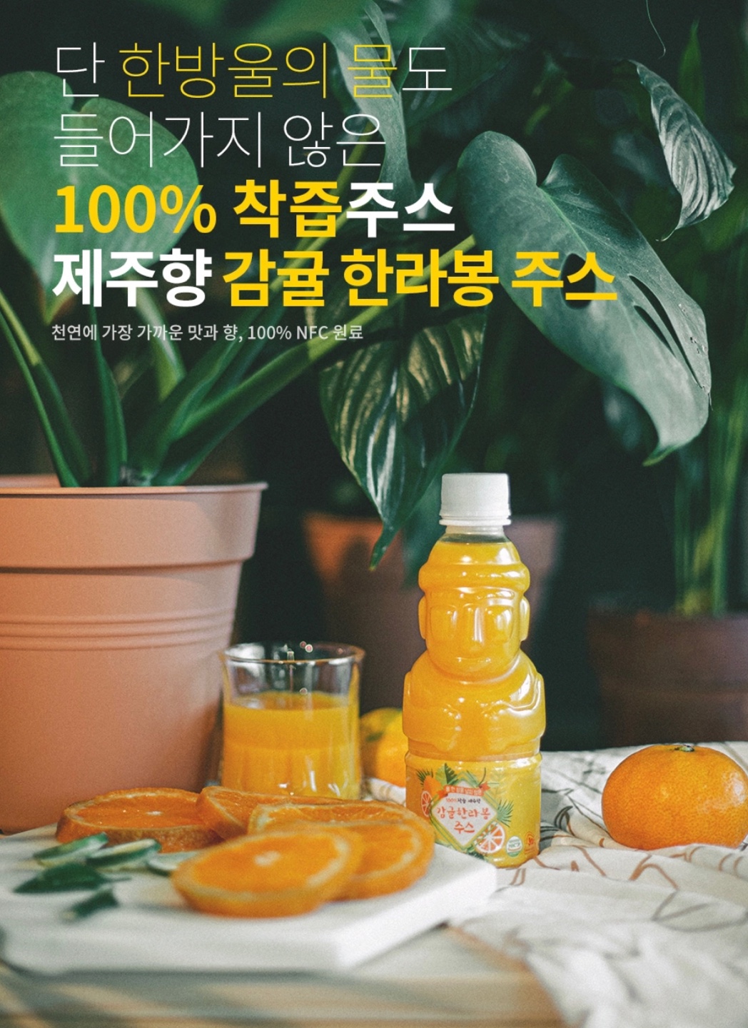 제주돈돈