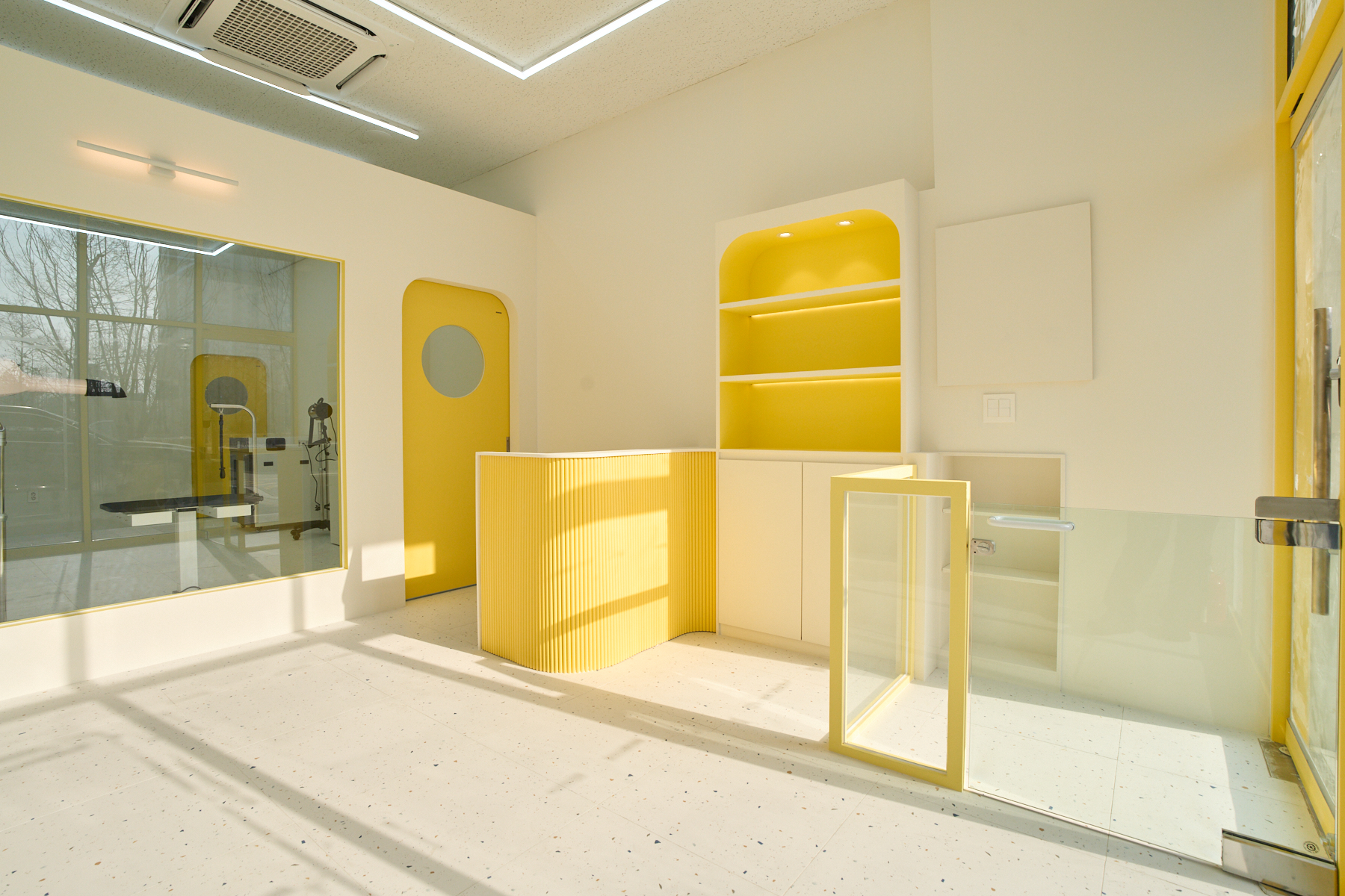 리즈퍼피 대표 이미지