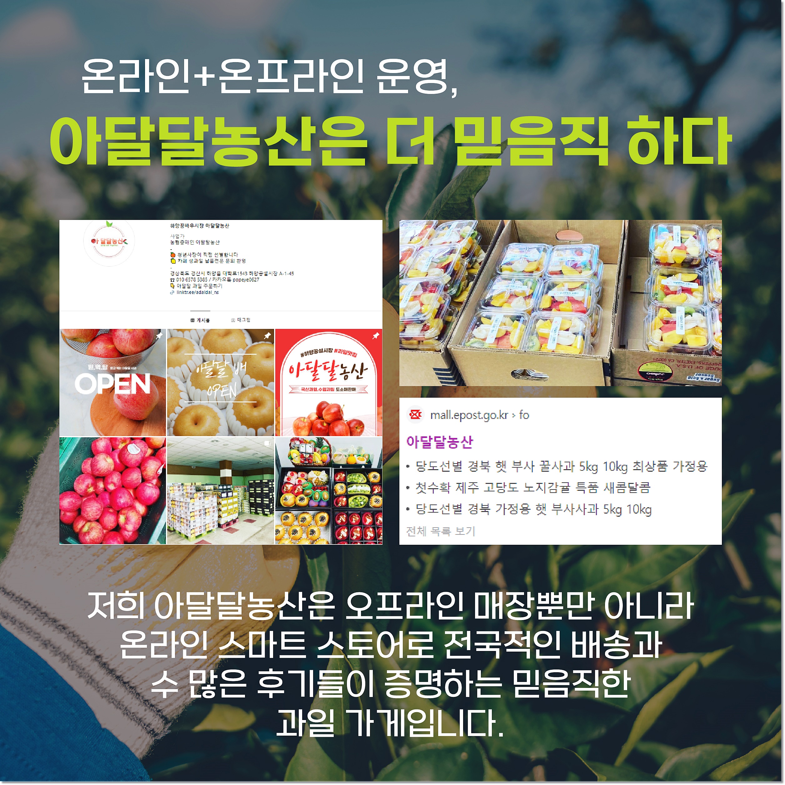 아달달농산