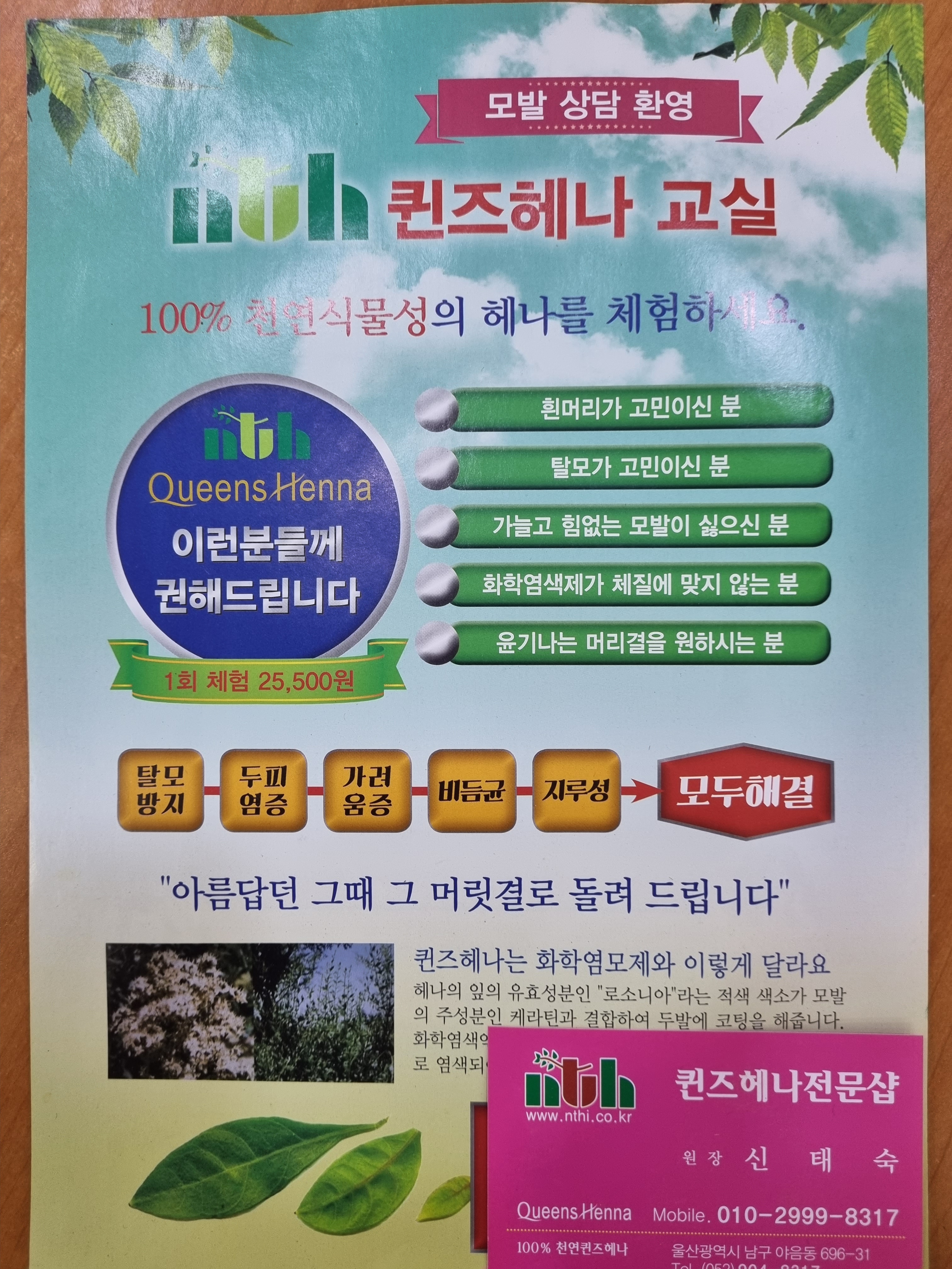 퀸즈헤나 수암점