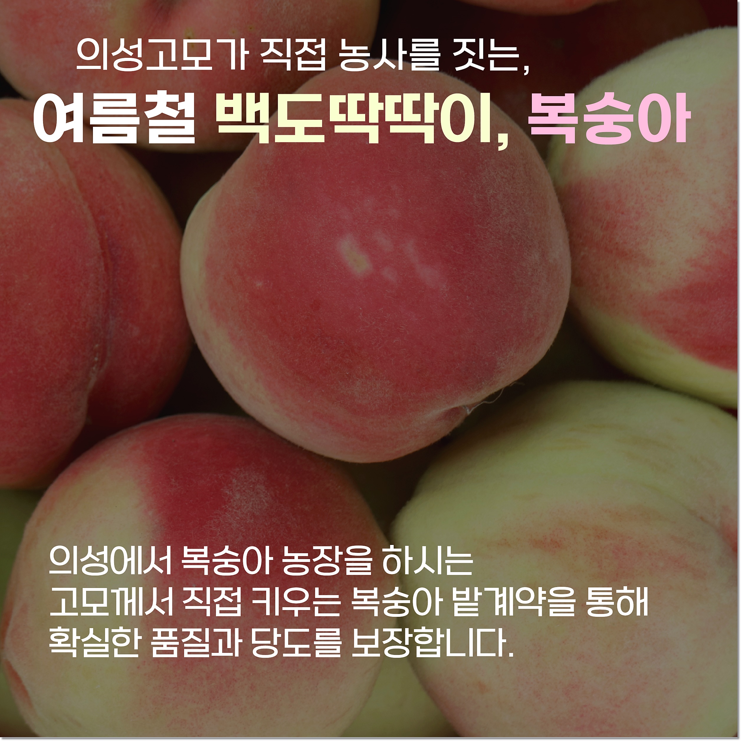 아달달농산