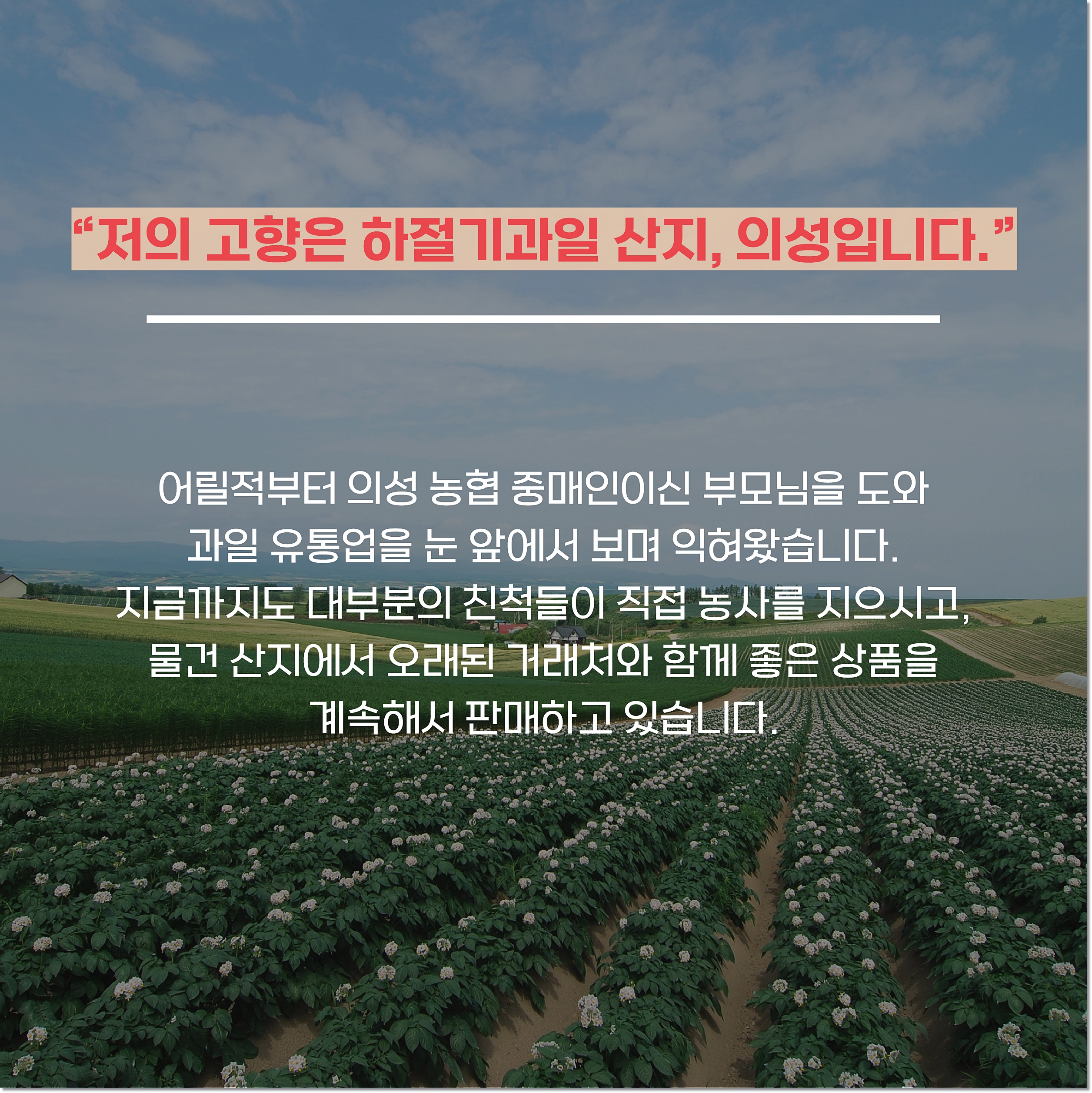 아달달농산