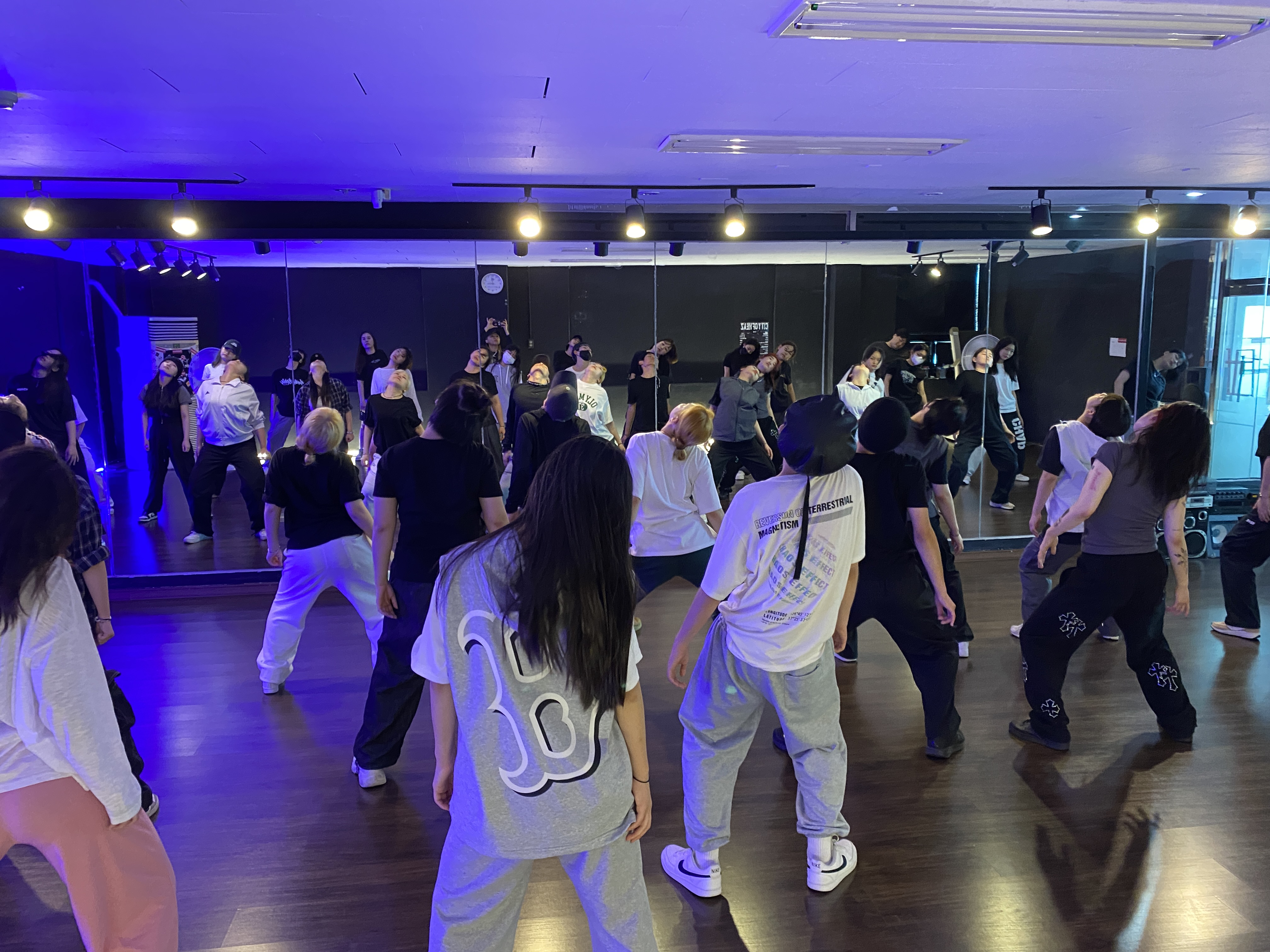 춤의정석리얼댄스