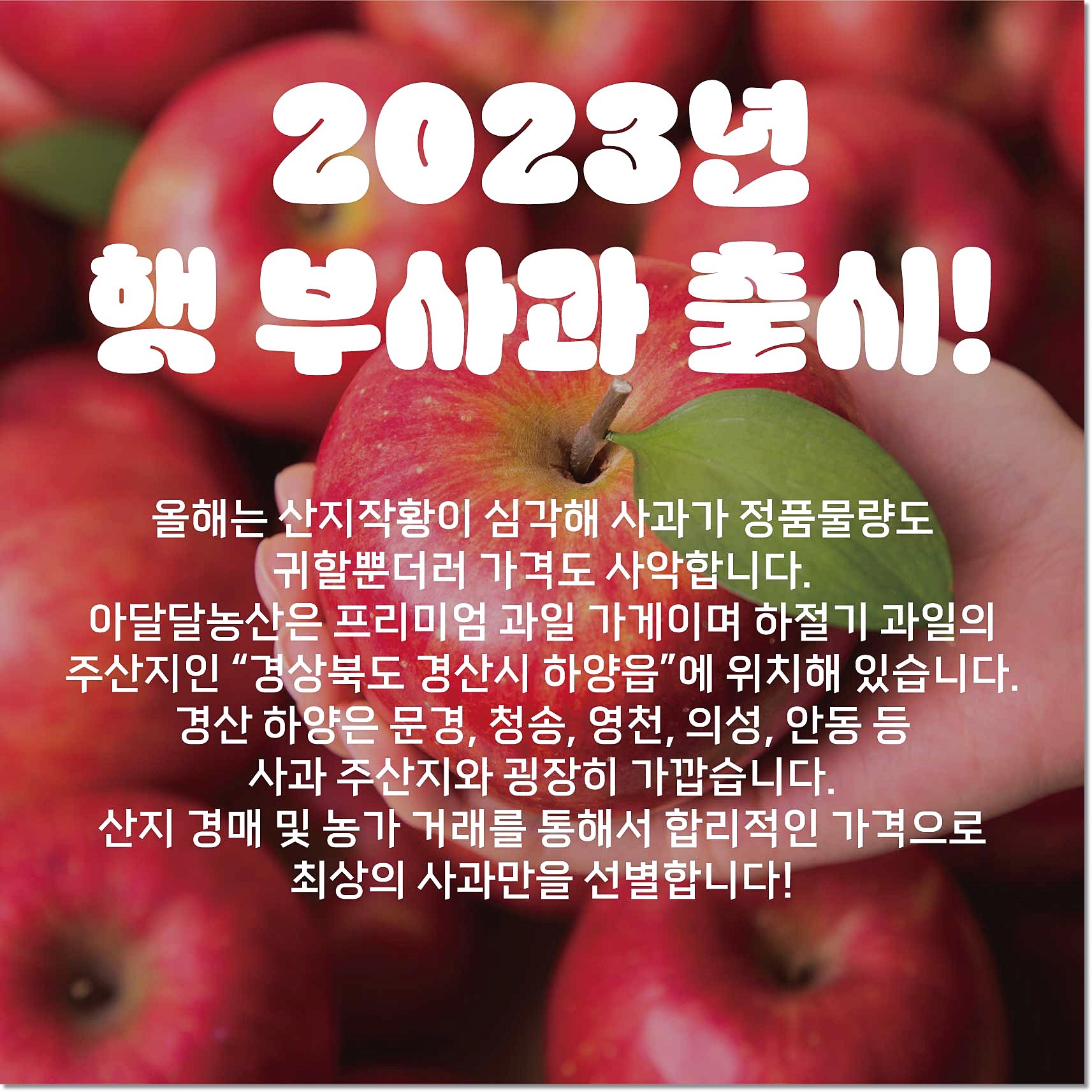 아달달농산