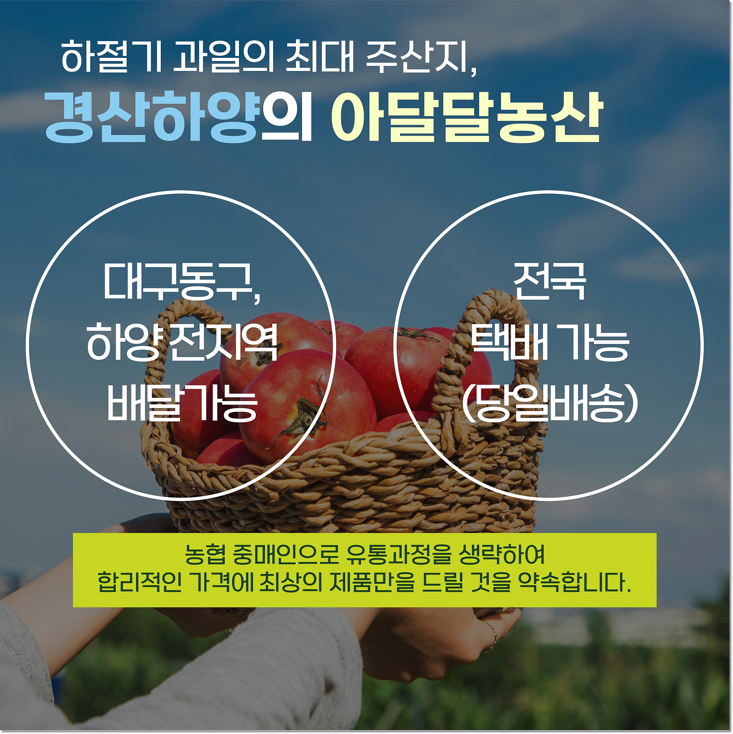 아달달농산