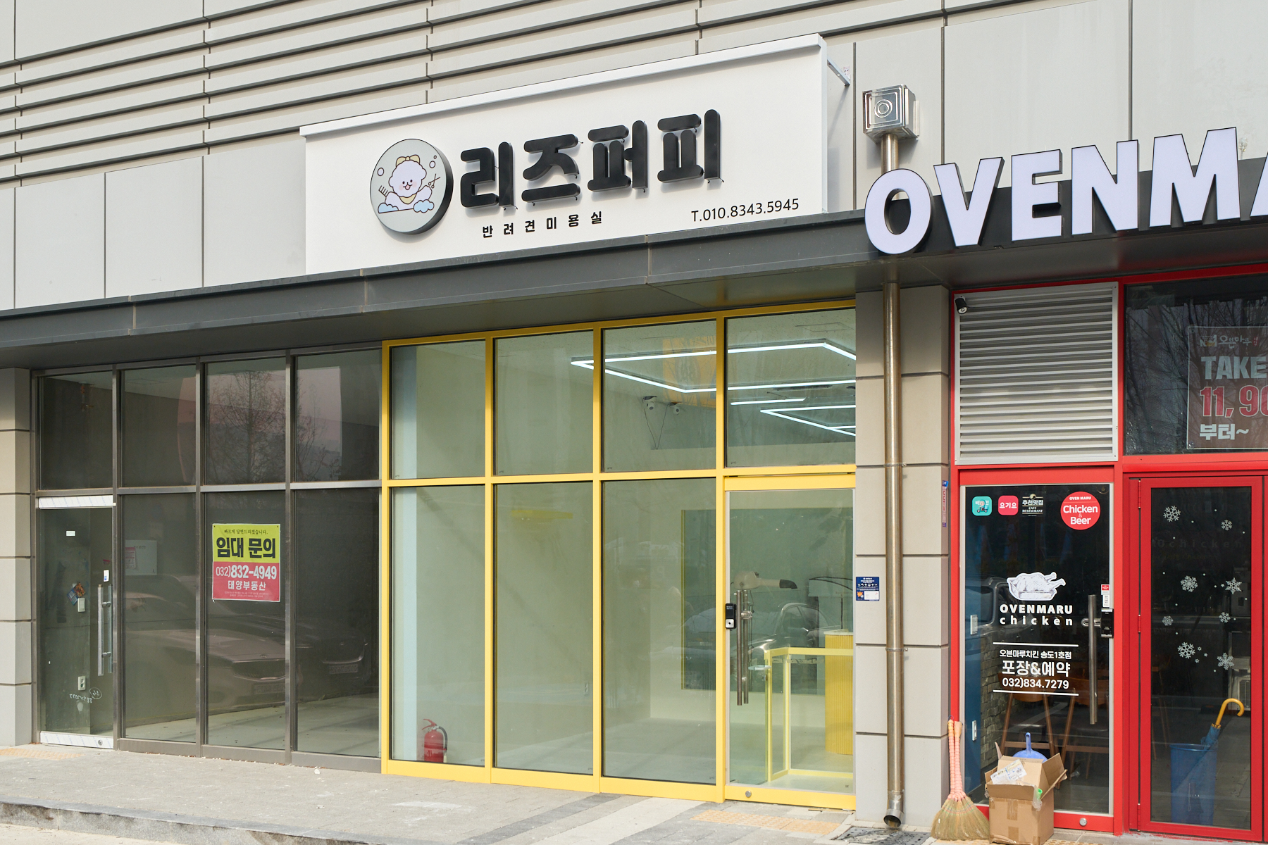 리즈퍼피 대표 이미지