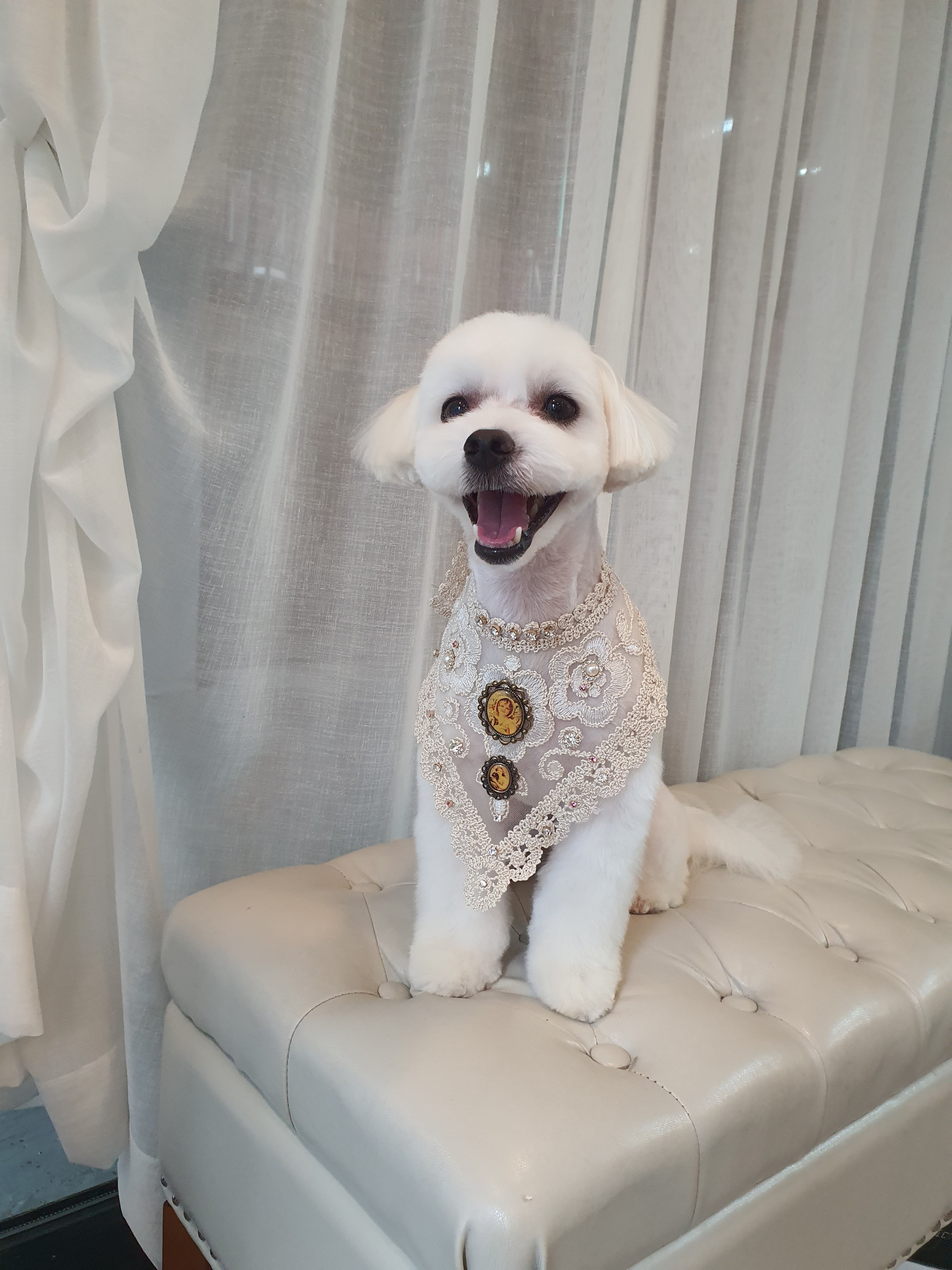 멍블리 대표 이미지