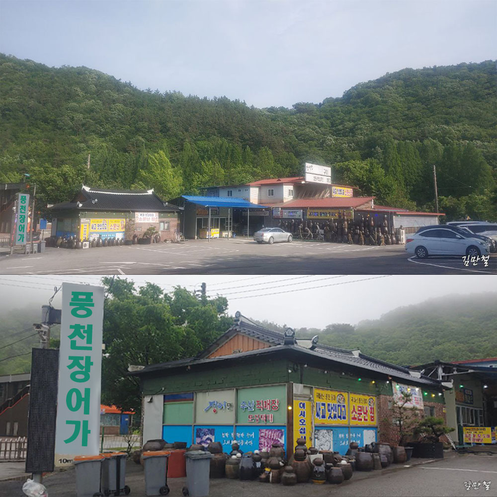 풍천장어가장어만
