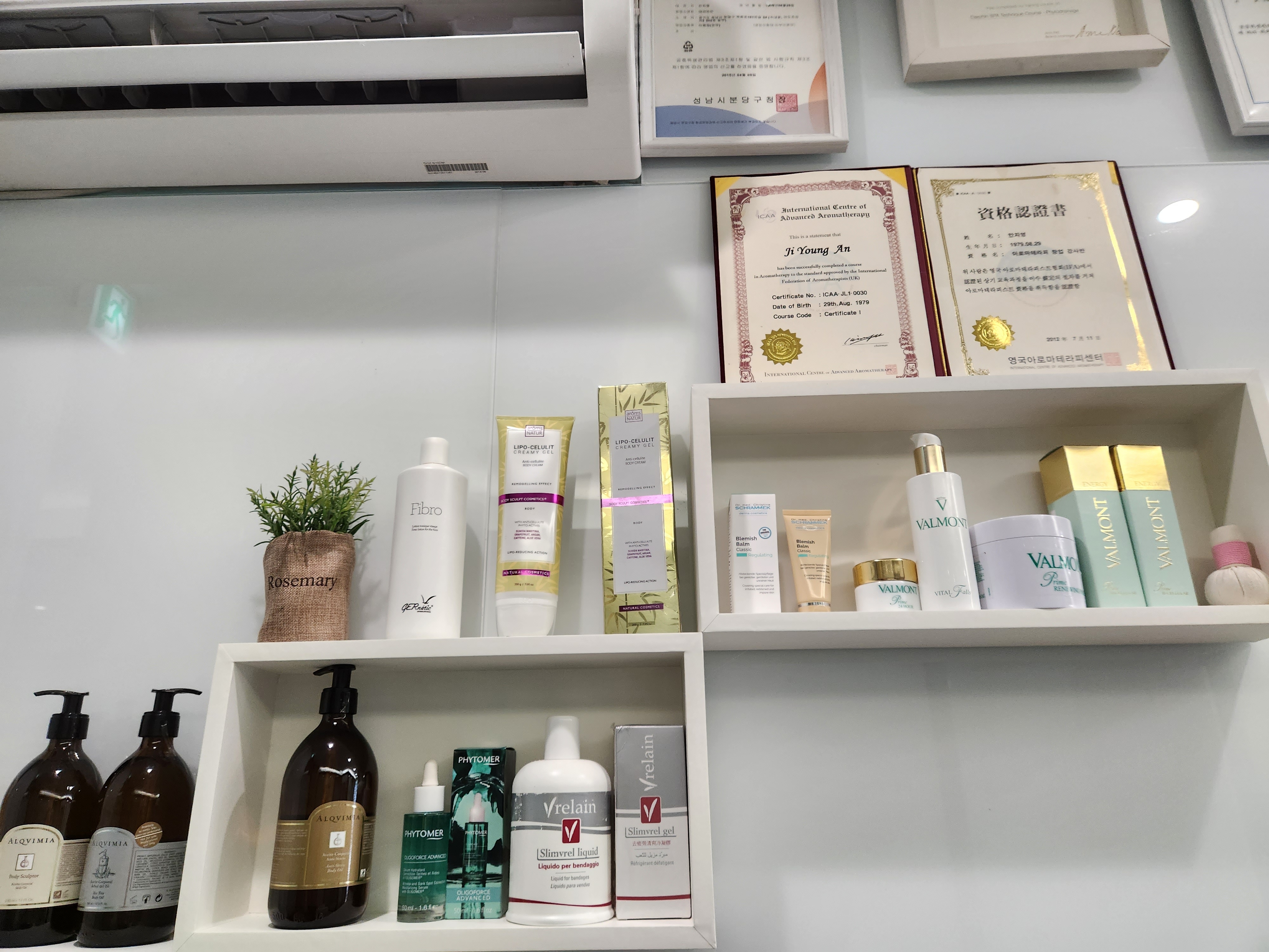 테라피안 photo 5