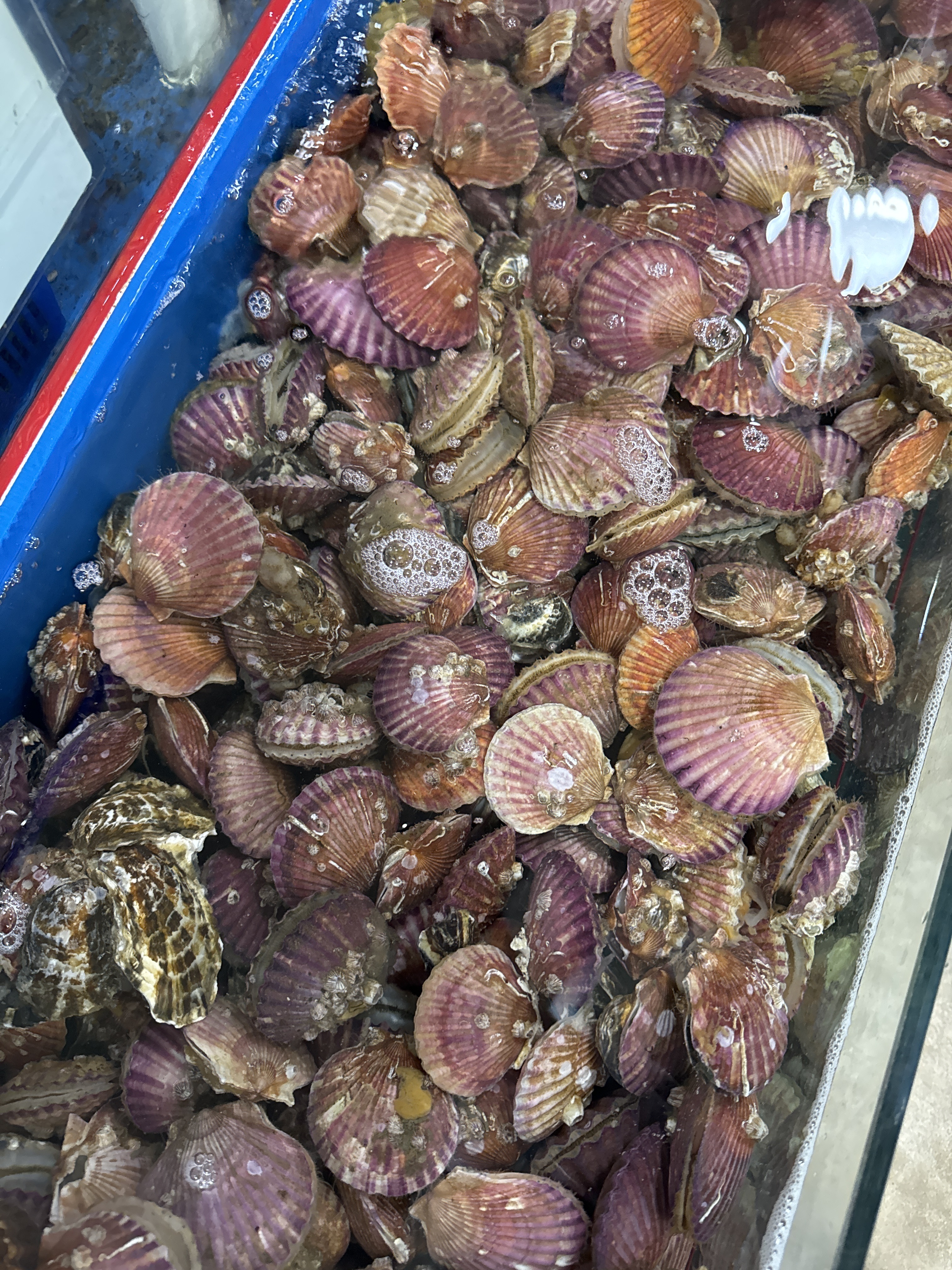 깻잎수산에코시티점