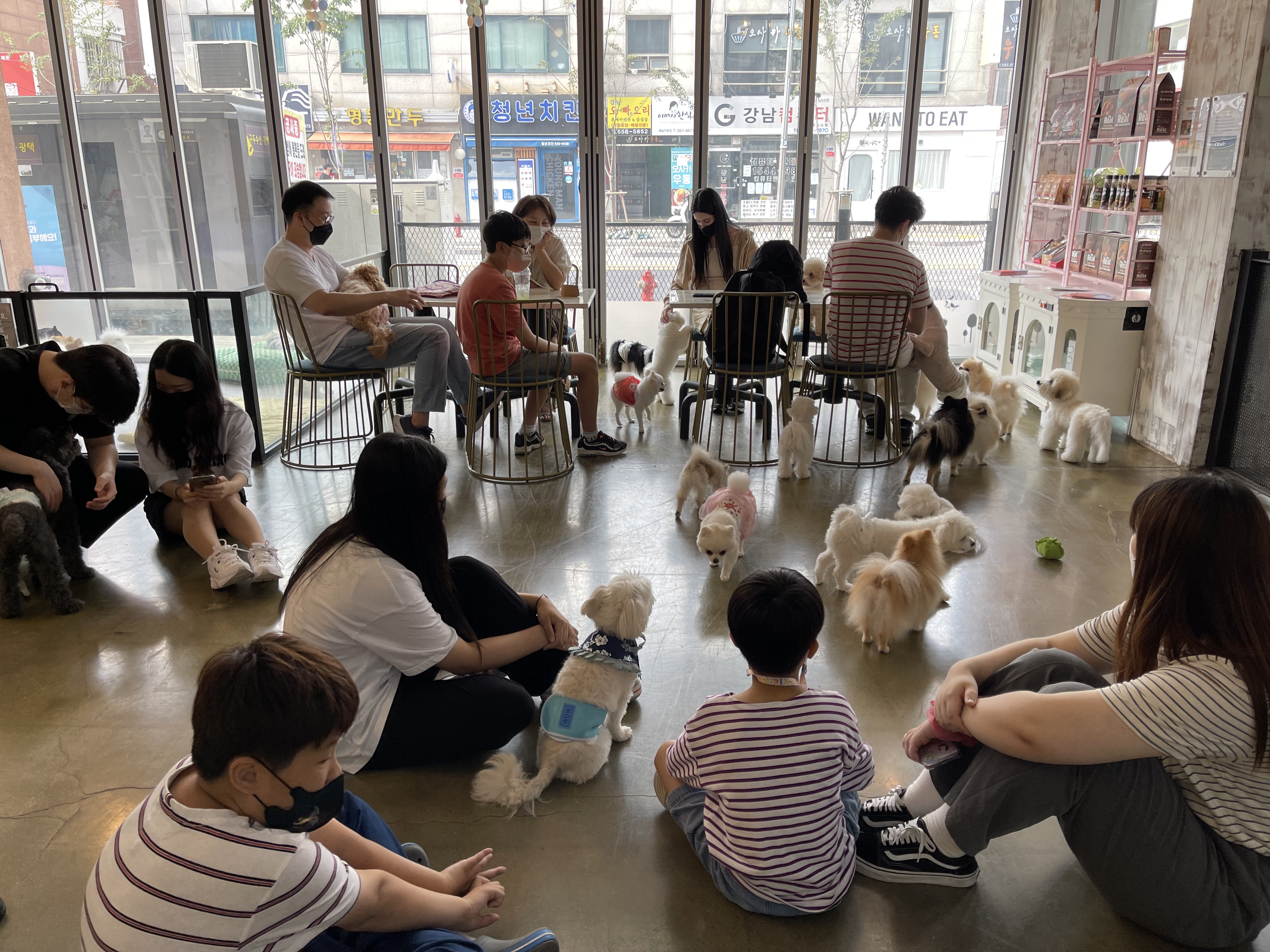 더왈츠 앤 조이피아 강남 대표 이미지