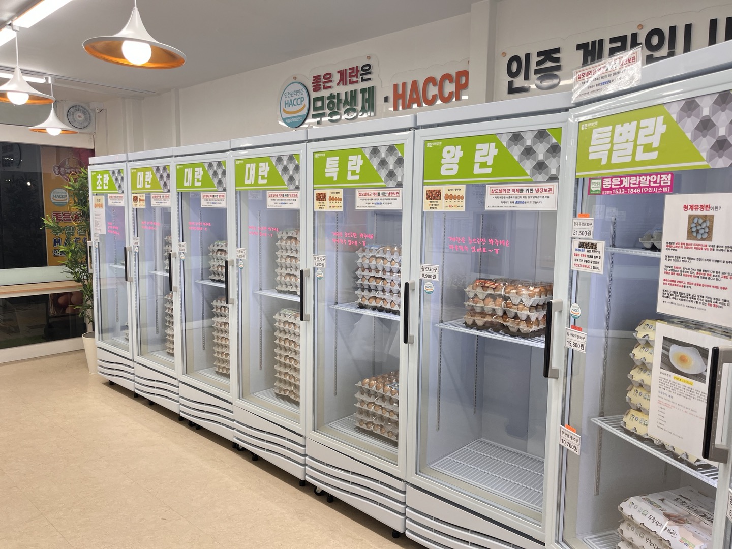 좋은계란할인점 초입마을점