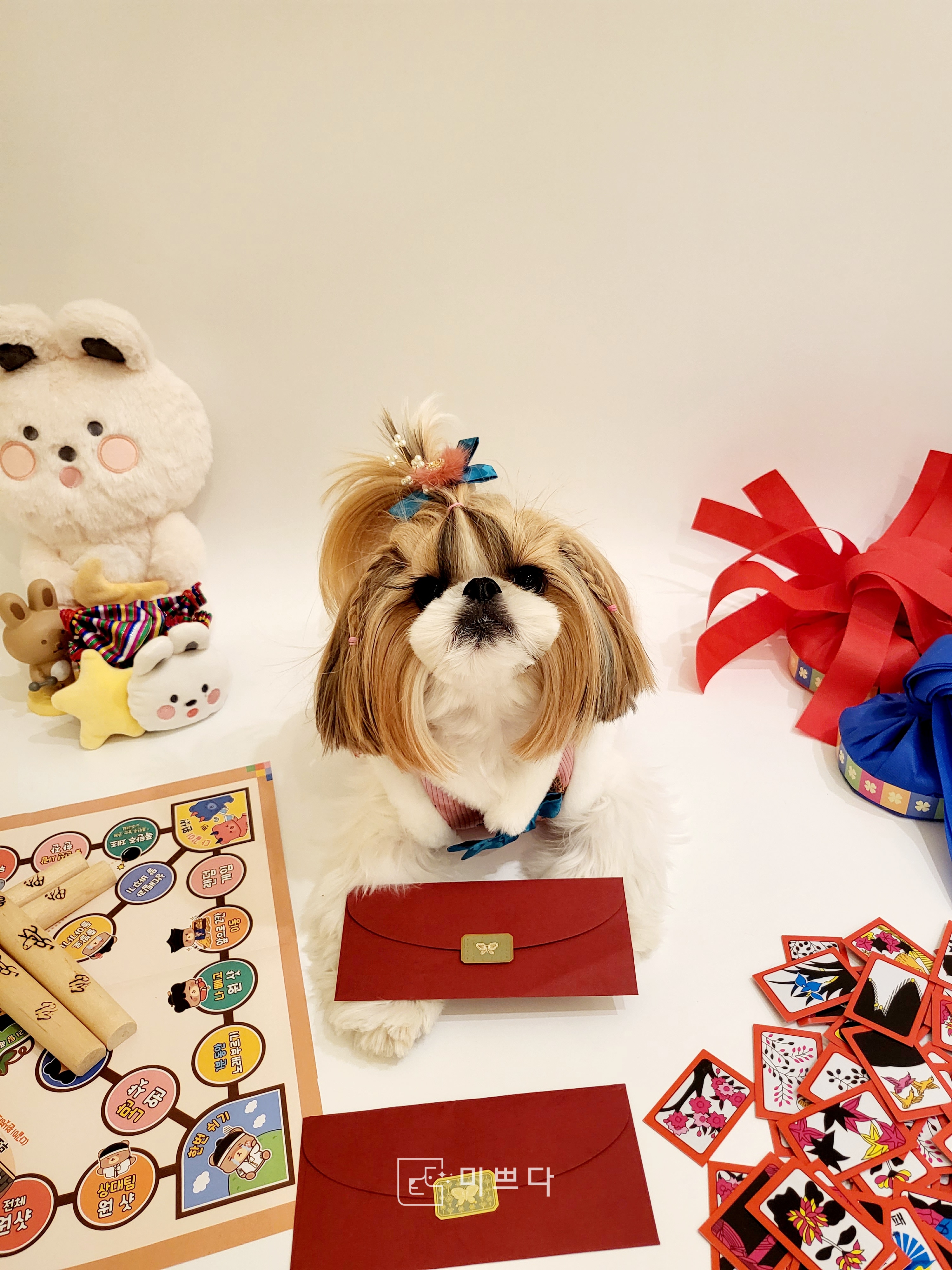 애견유치원 미쁘다 photo 9