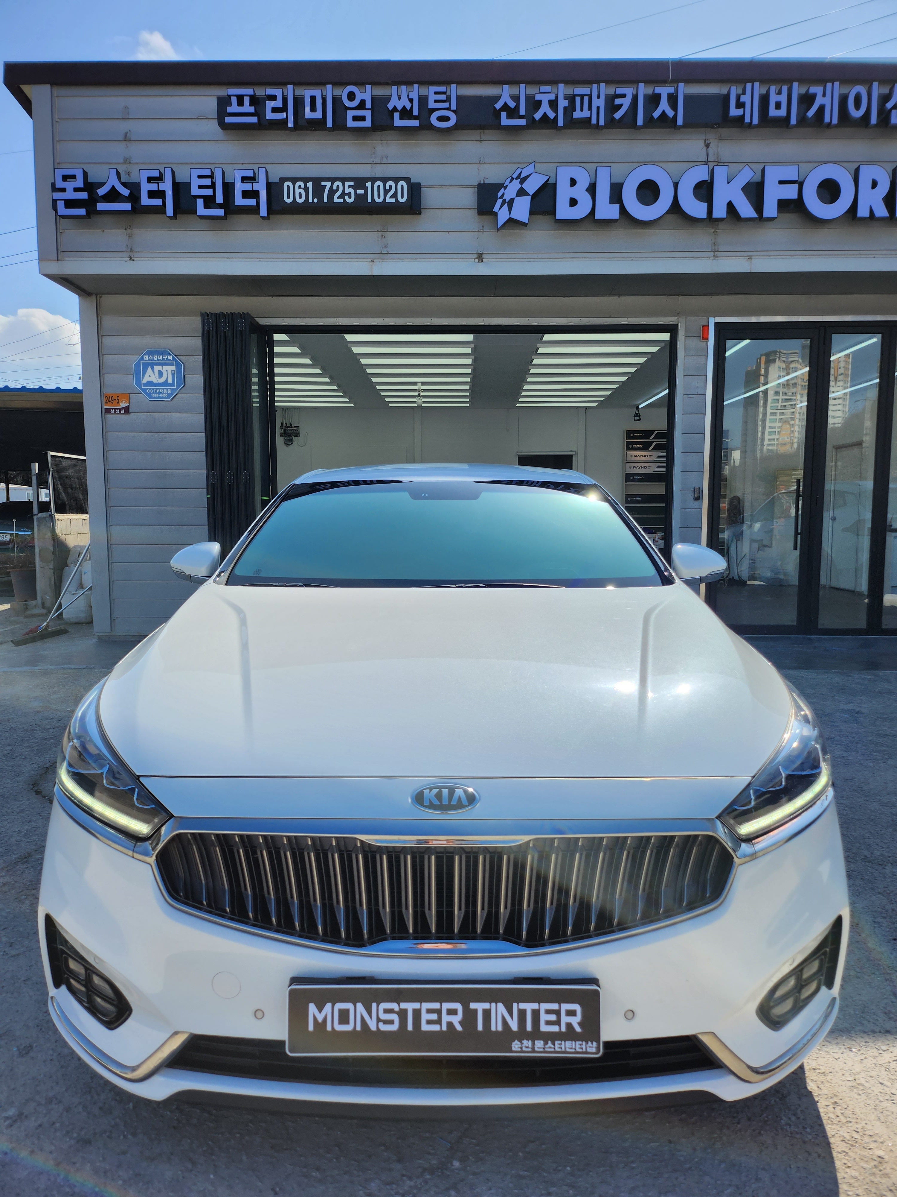 틴트어카 레이노 블락포디 몬스터틴터