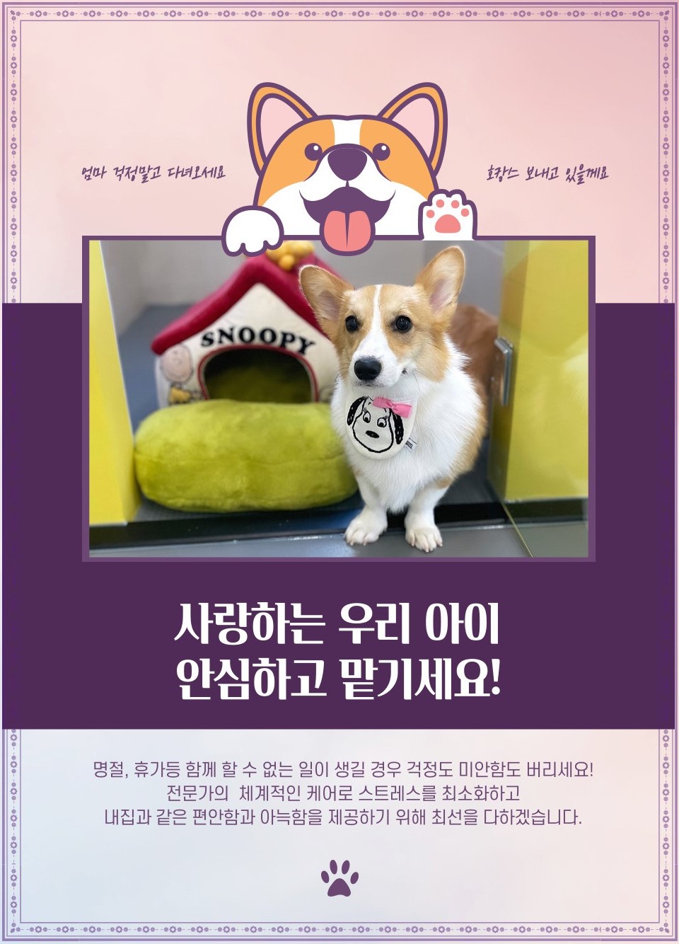 오프독 반려견 종합교육문화센터 대표 이미지