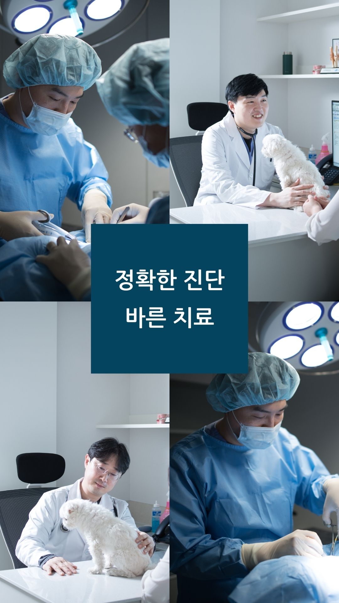 유케어종합동물병원 내부 이미지