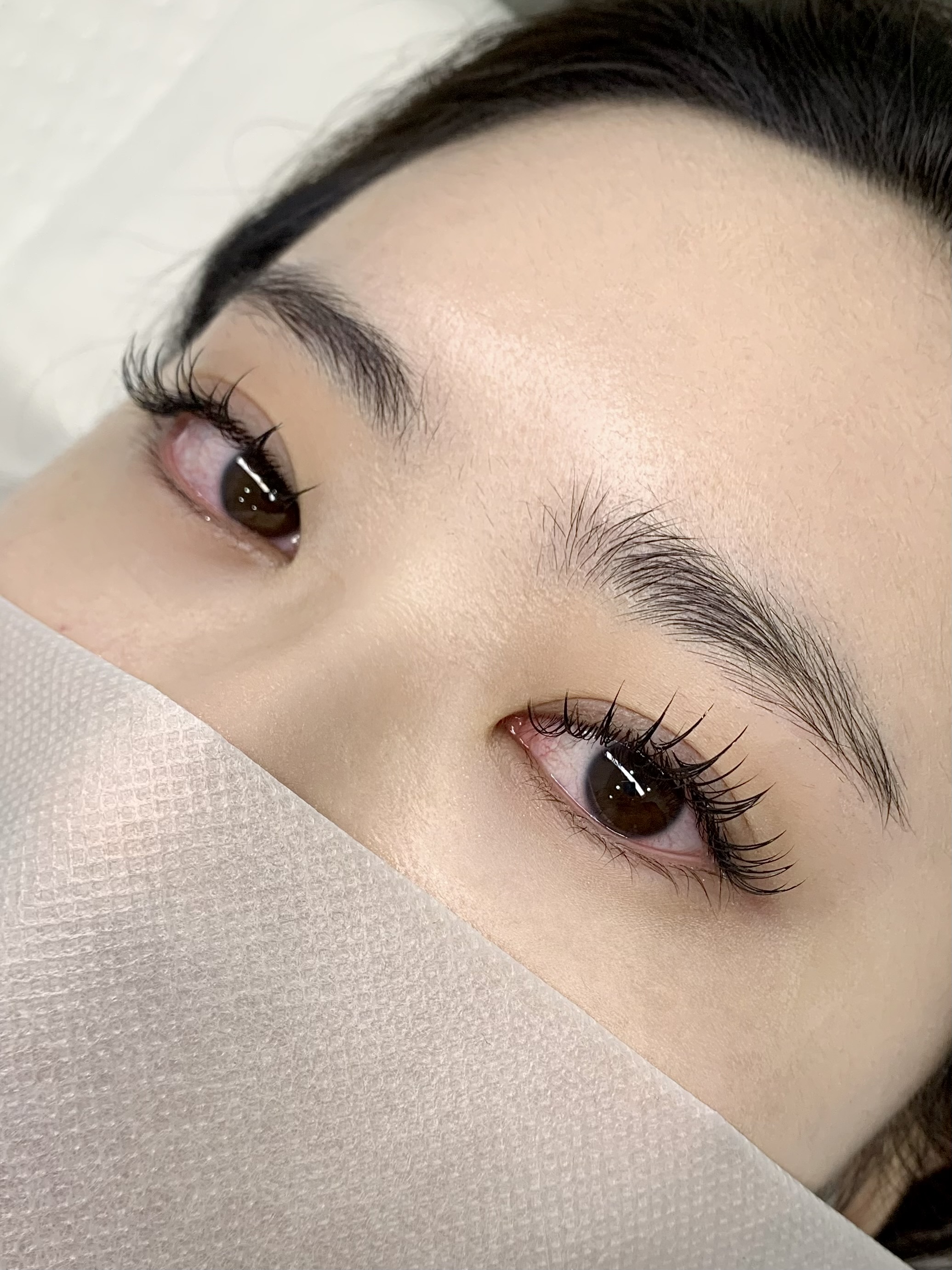 리비래쉬 대표 이미지