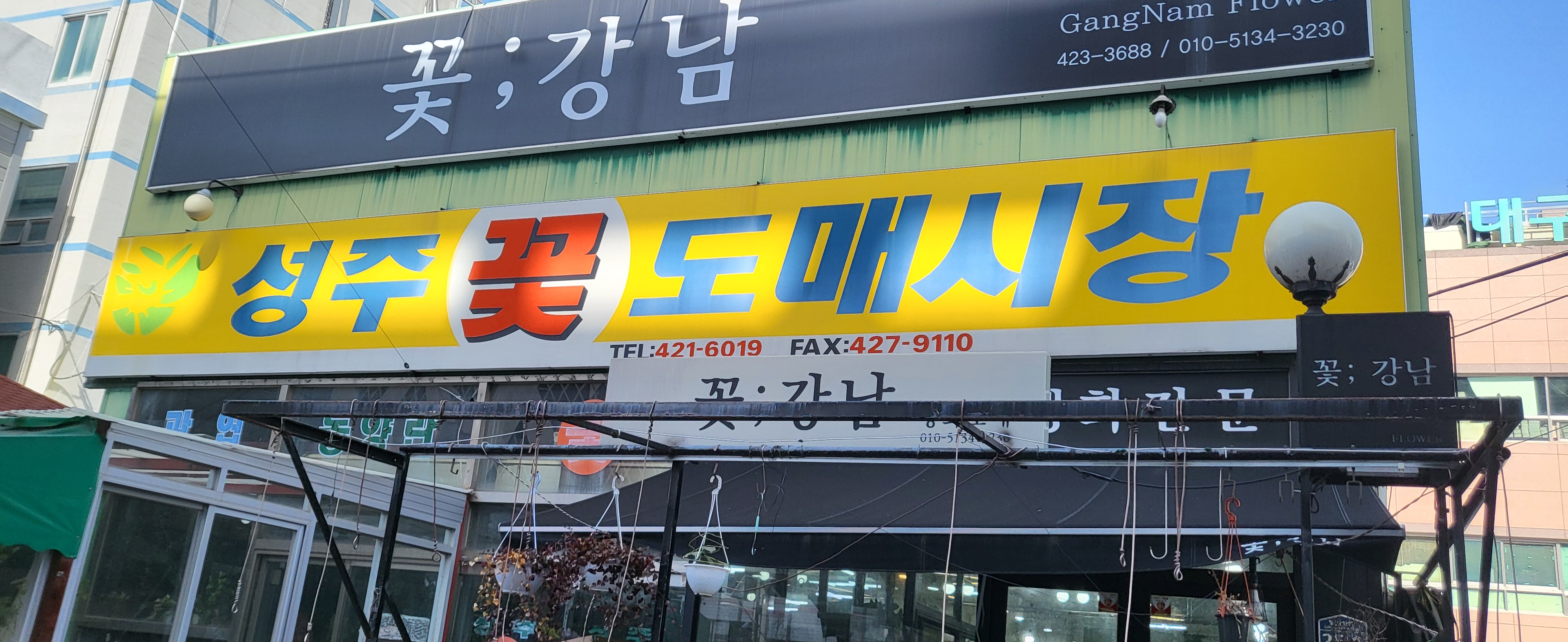 꽃강남