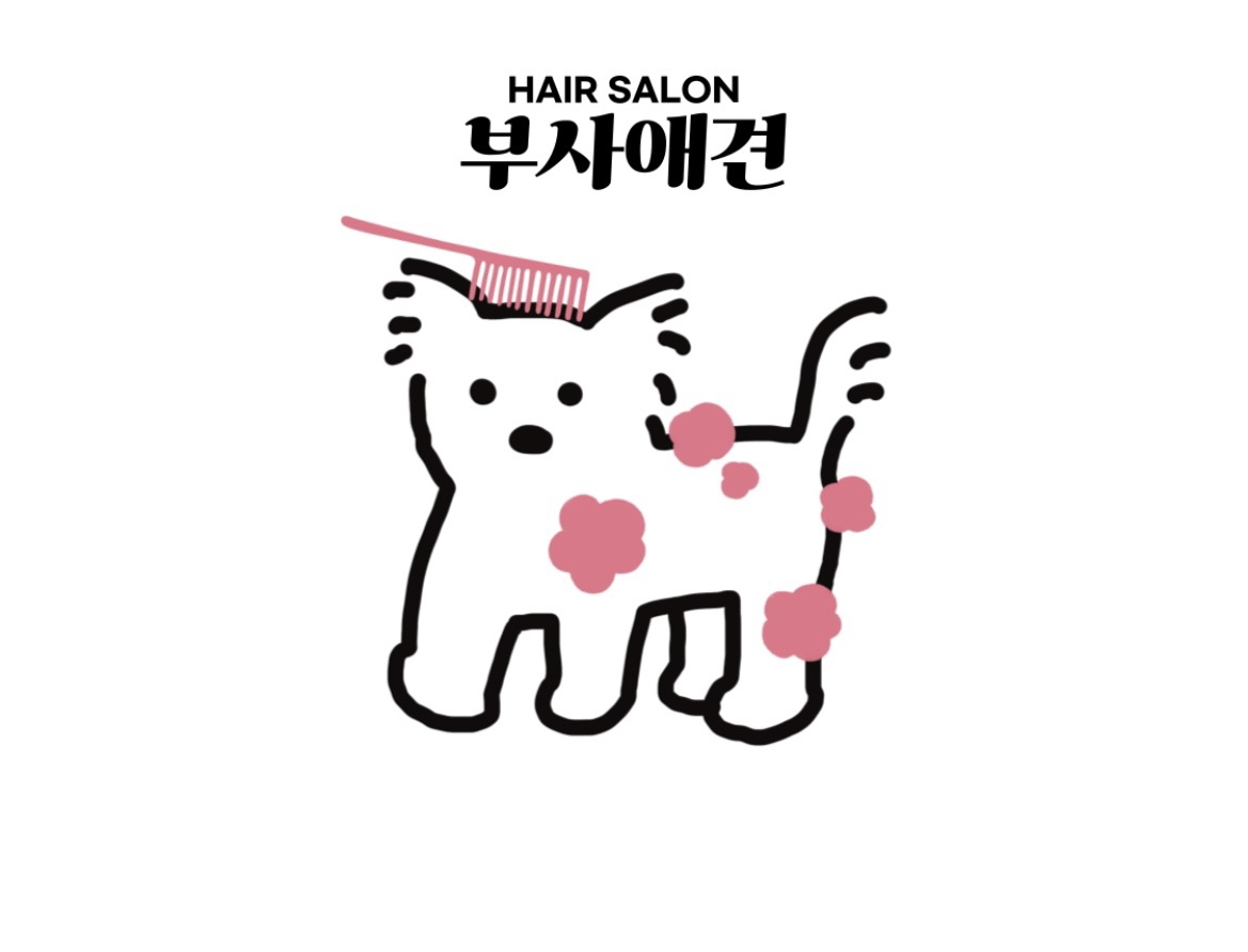 부사애견 대표 이미지