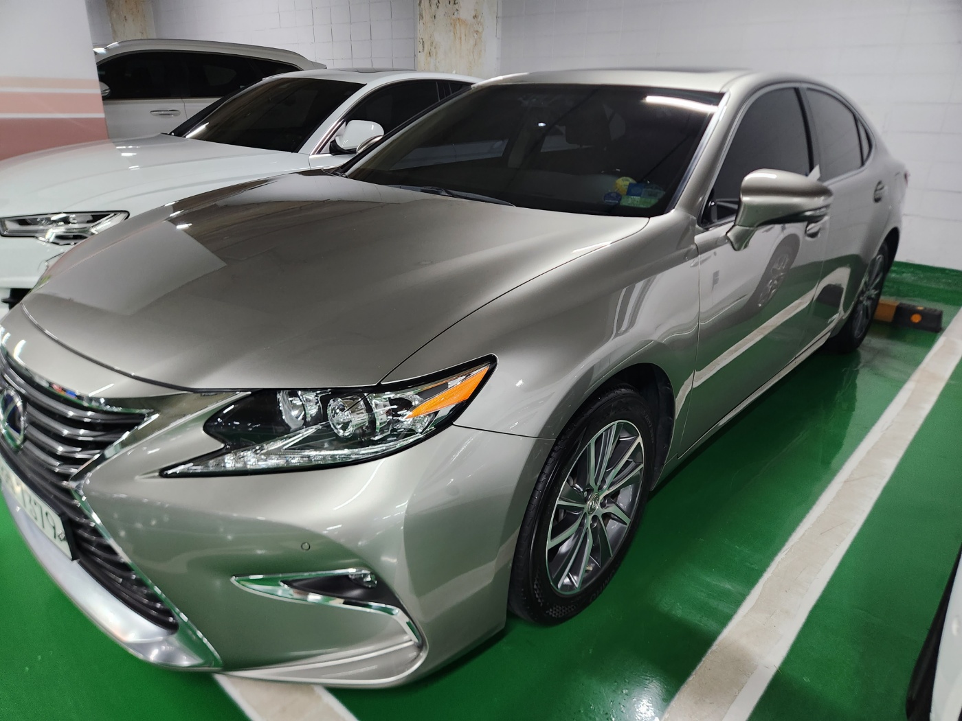 그린카워시 대표 이미지