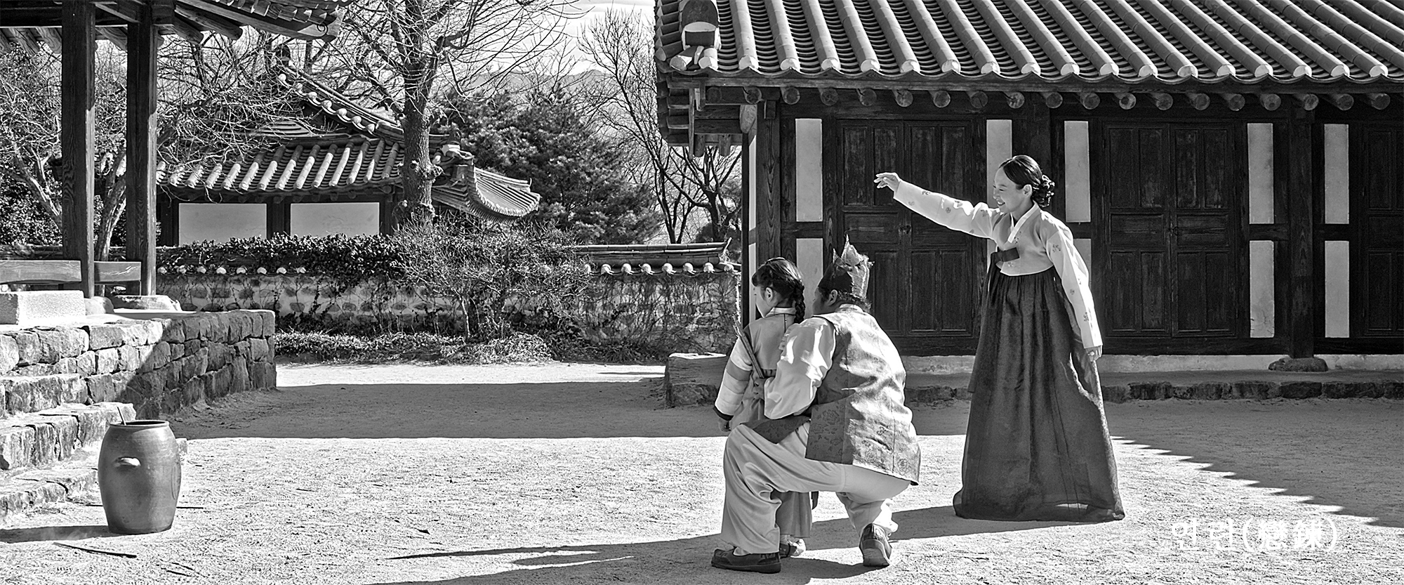 나도밤보