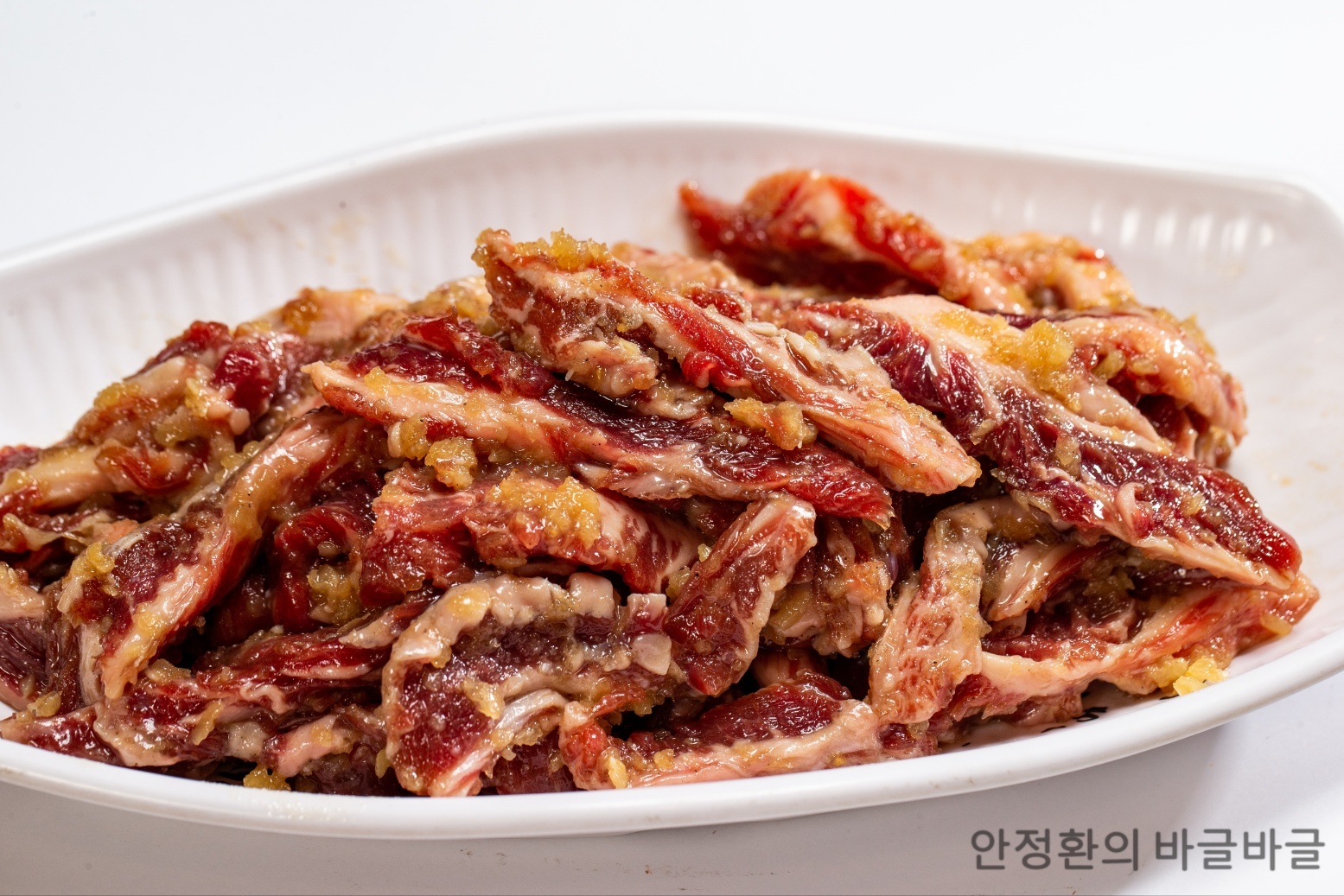 안정환의바글바글 경상 애견맛집