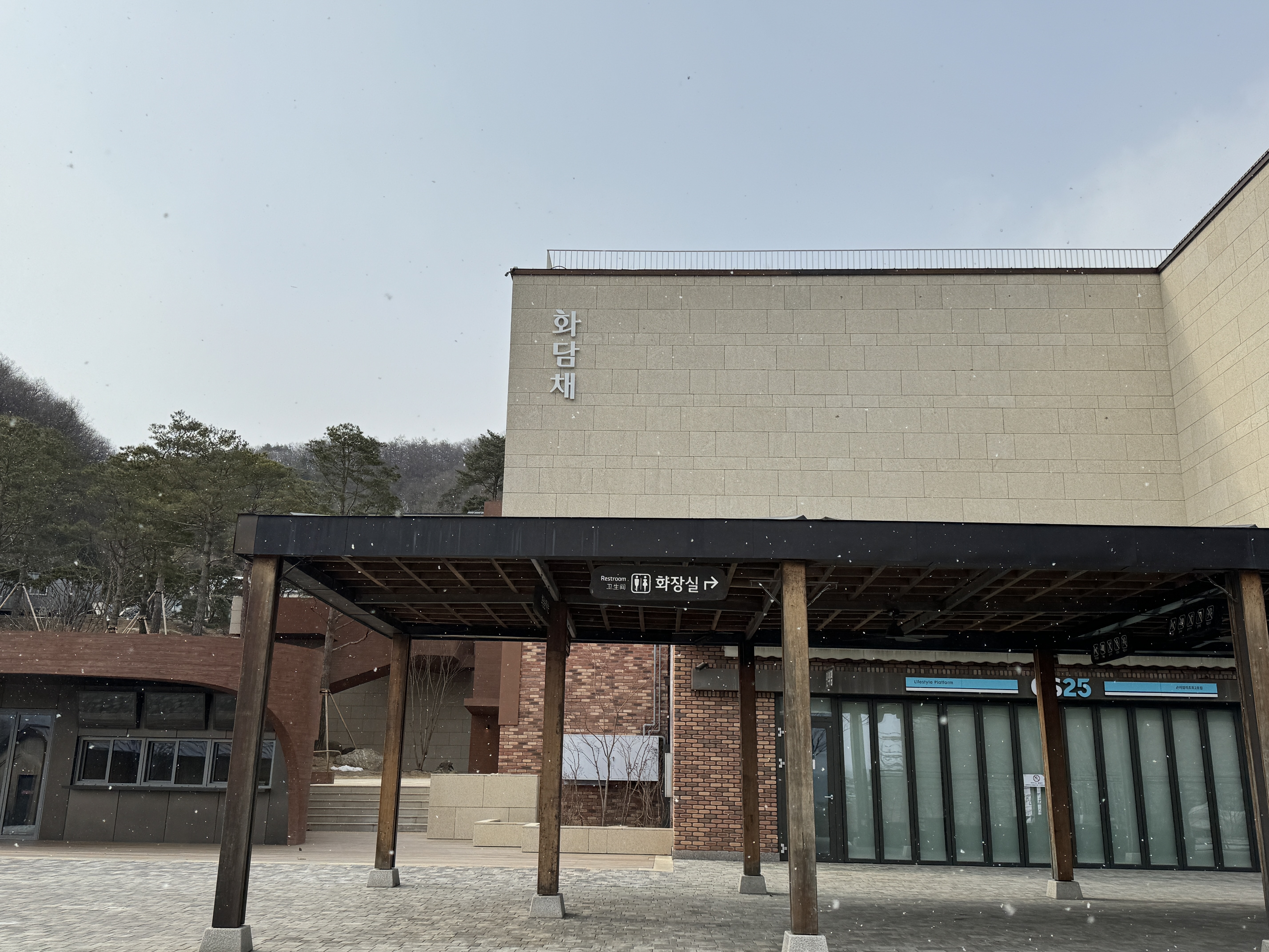 화담채