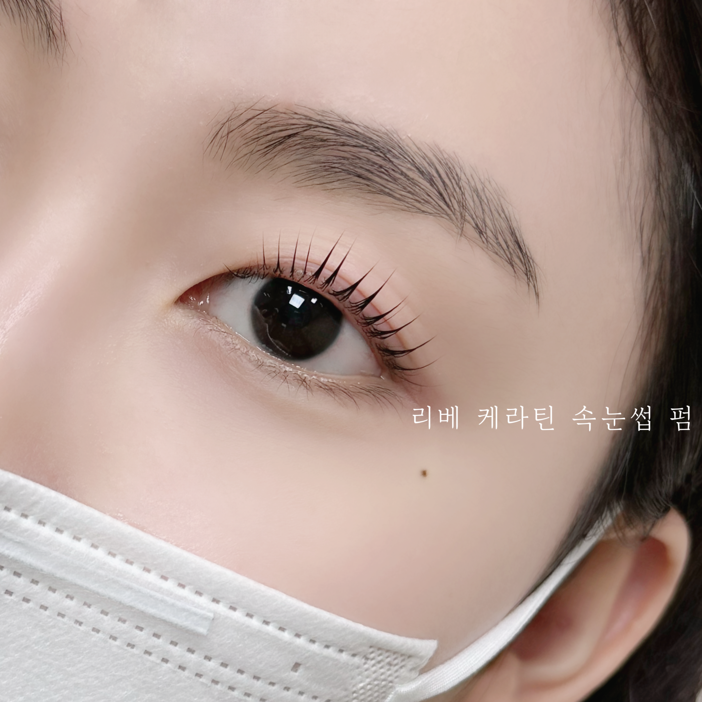 리베브로우