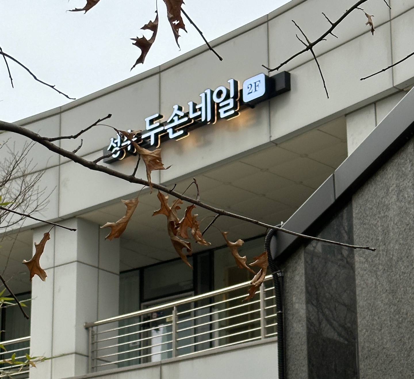 두손네일 성수 트리마제점
