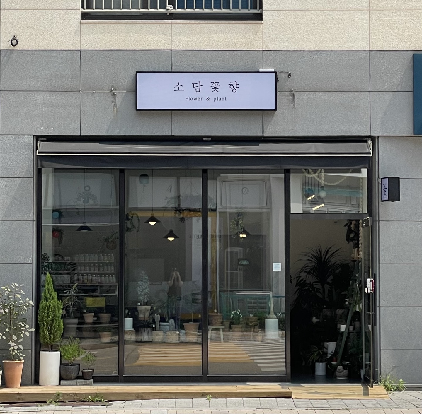 소담꽃향