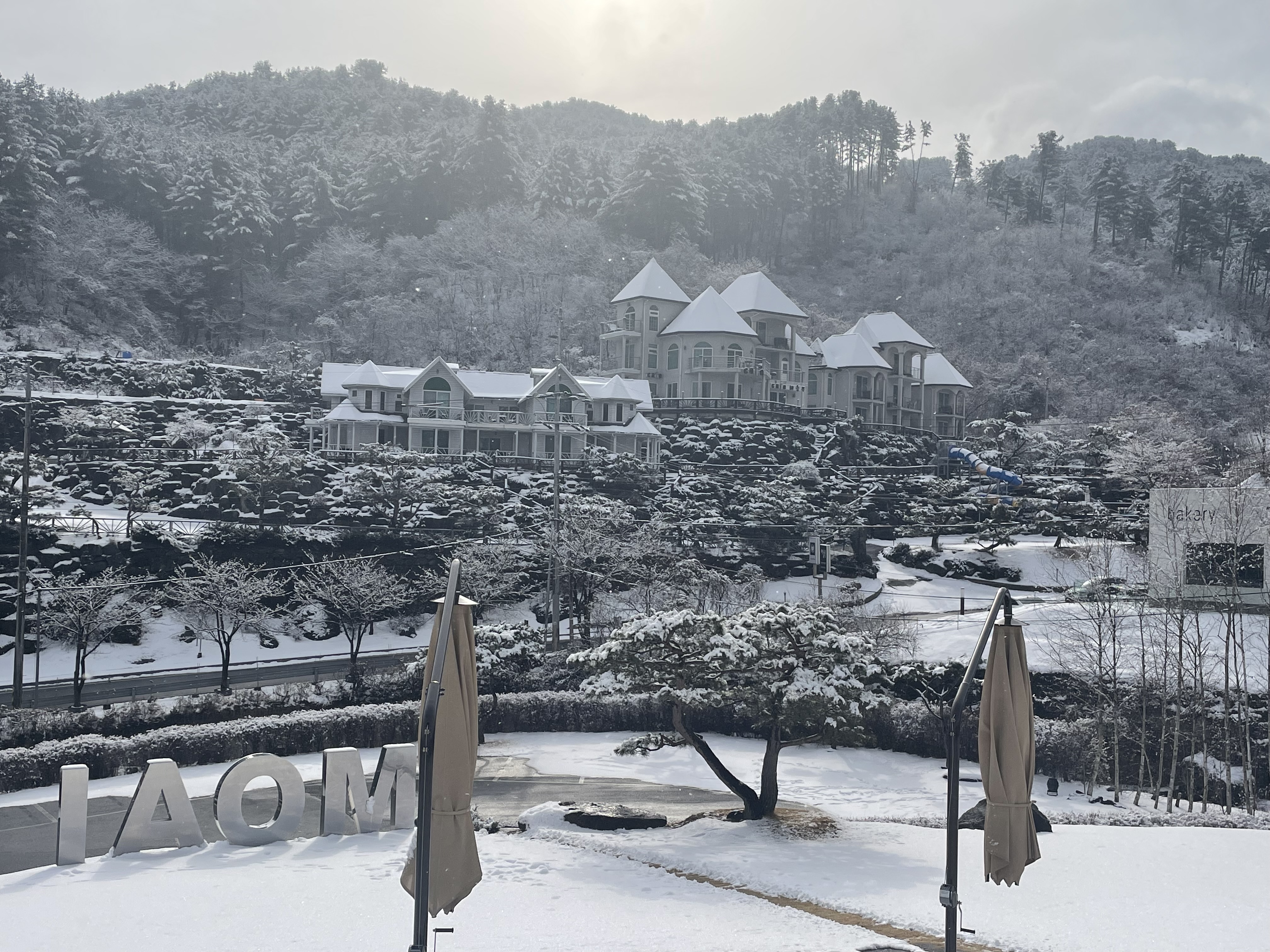 모아이카페