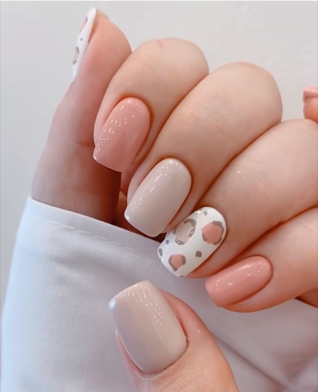 미더뷰티