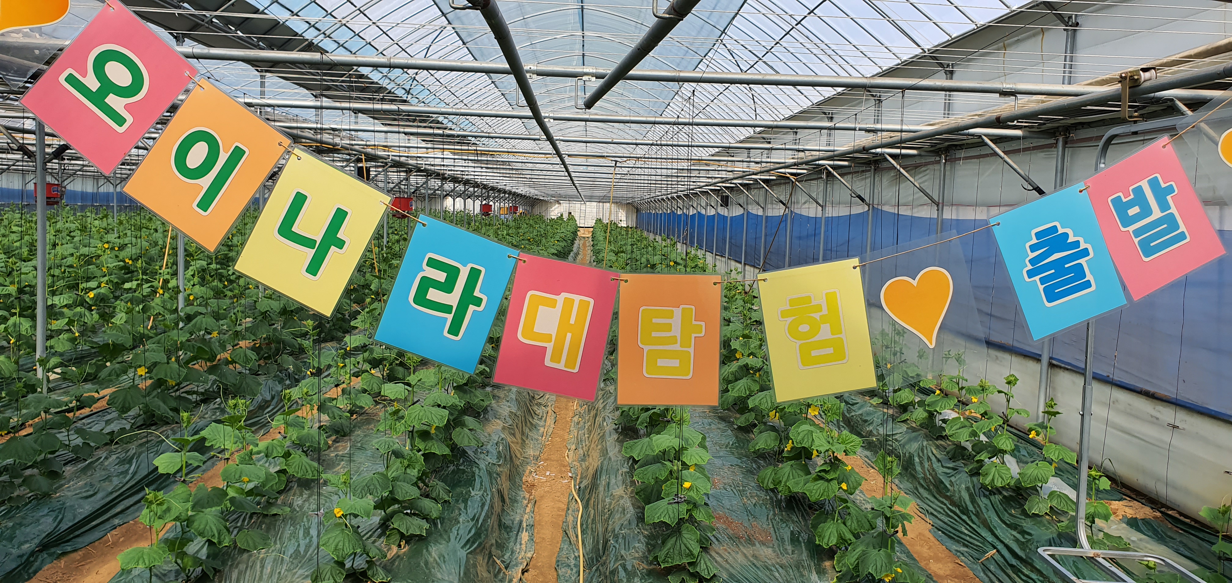 봉황52 농촌체험치유농장