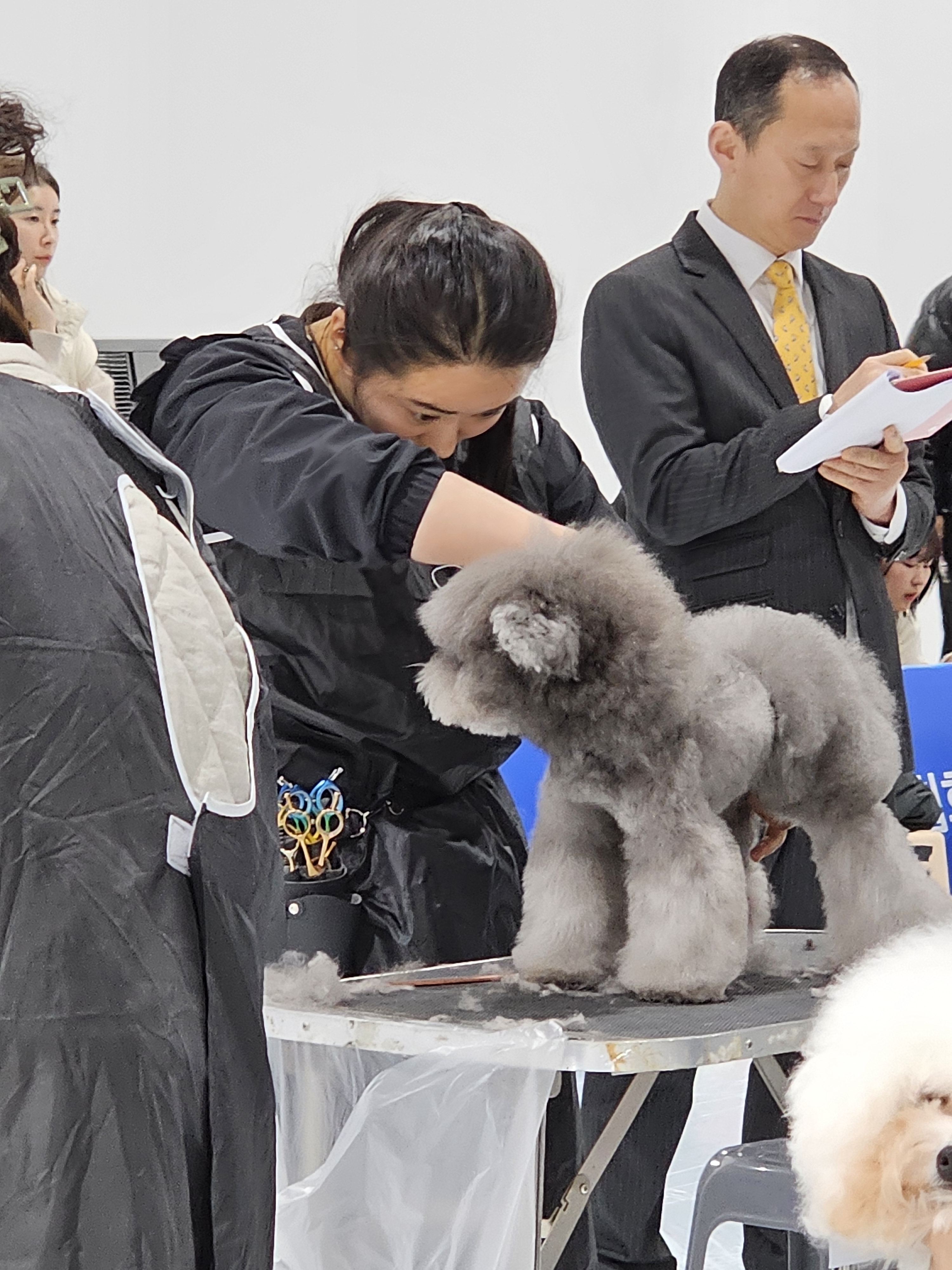 펫피플