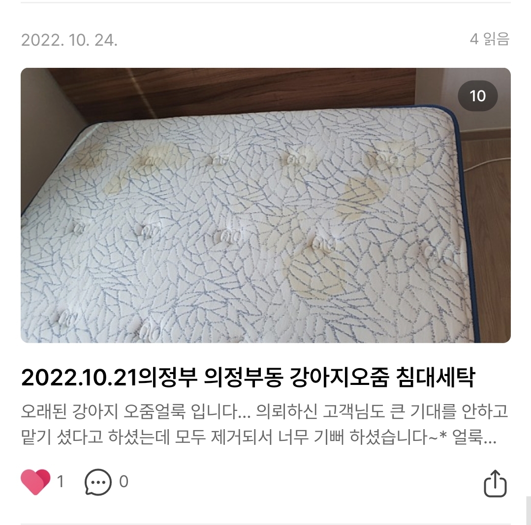 경력20년 화이트크린