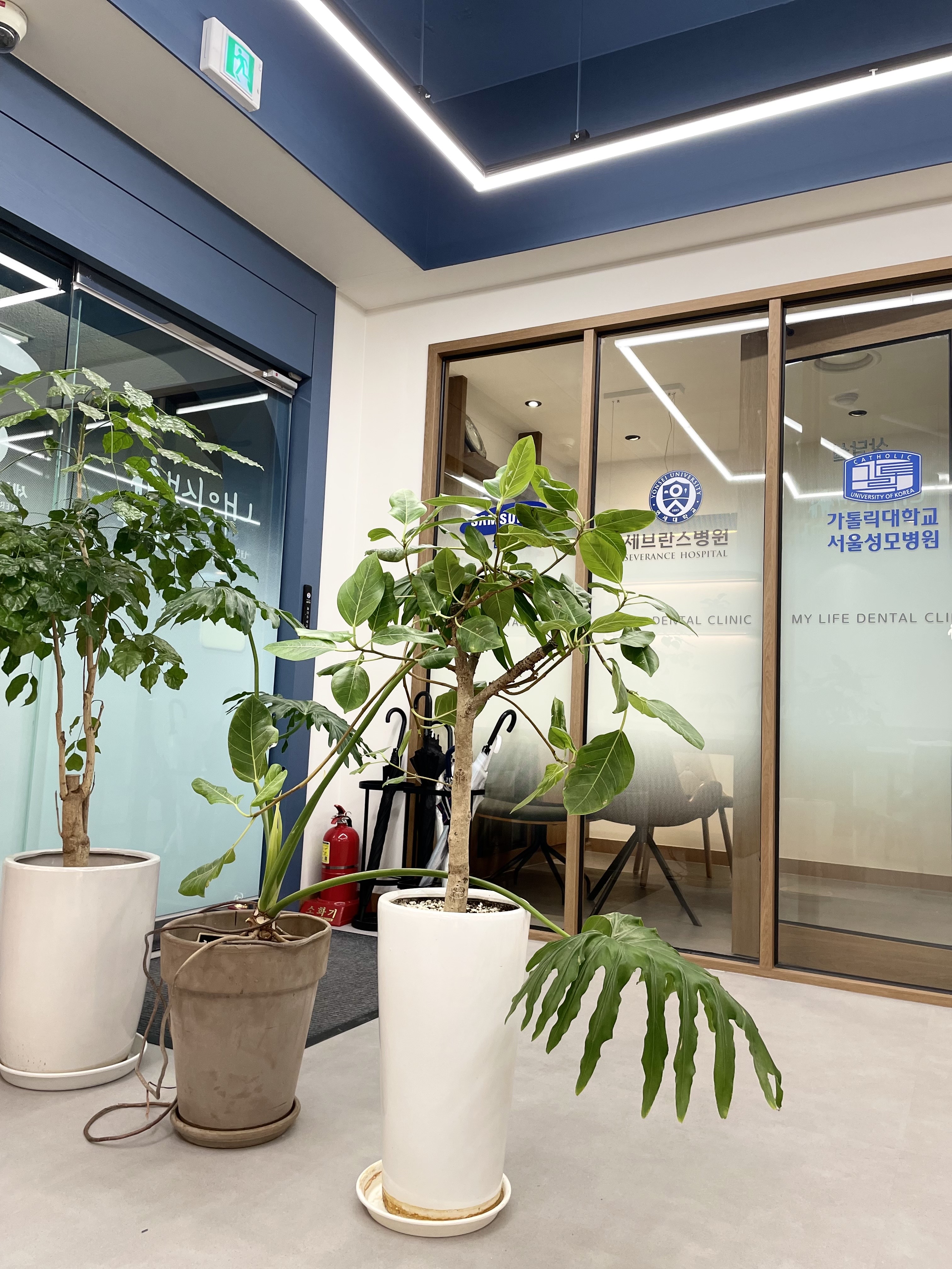 내인생치과의원 대표 이미지