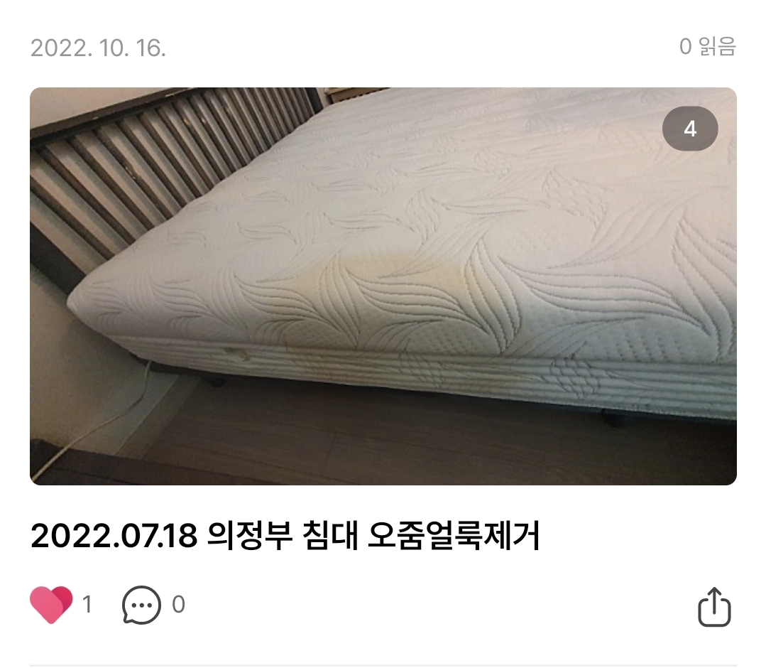경력20년 화이트크린