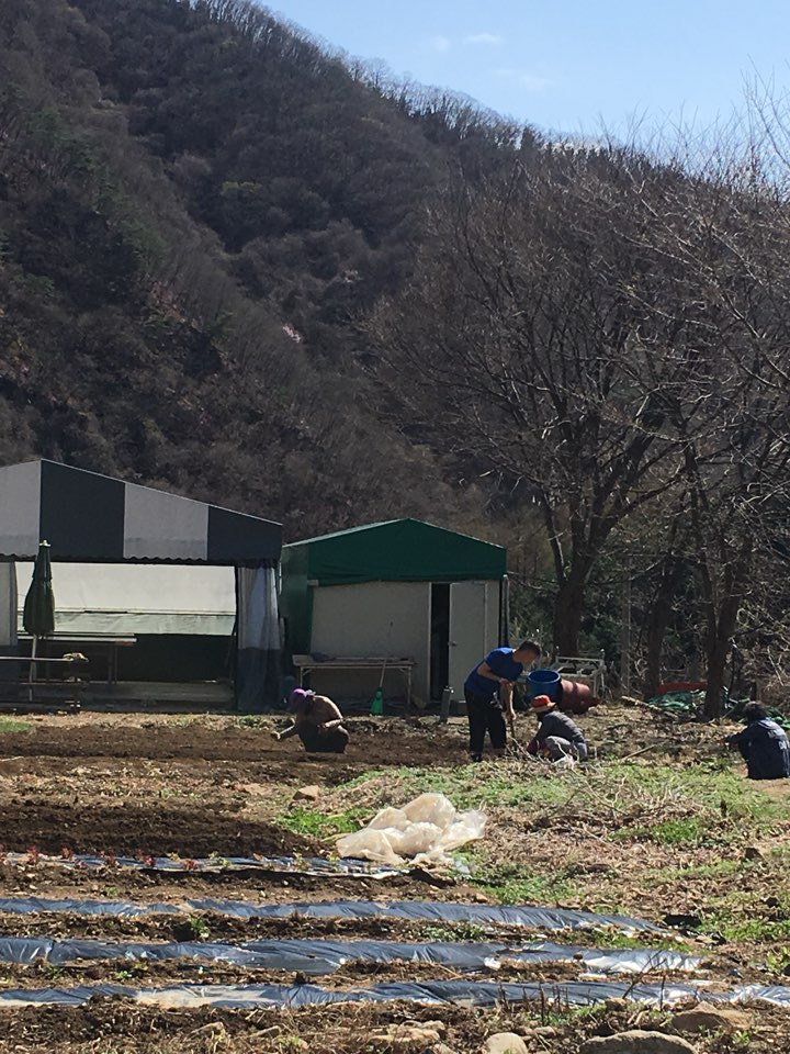 가평산속요양병원