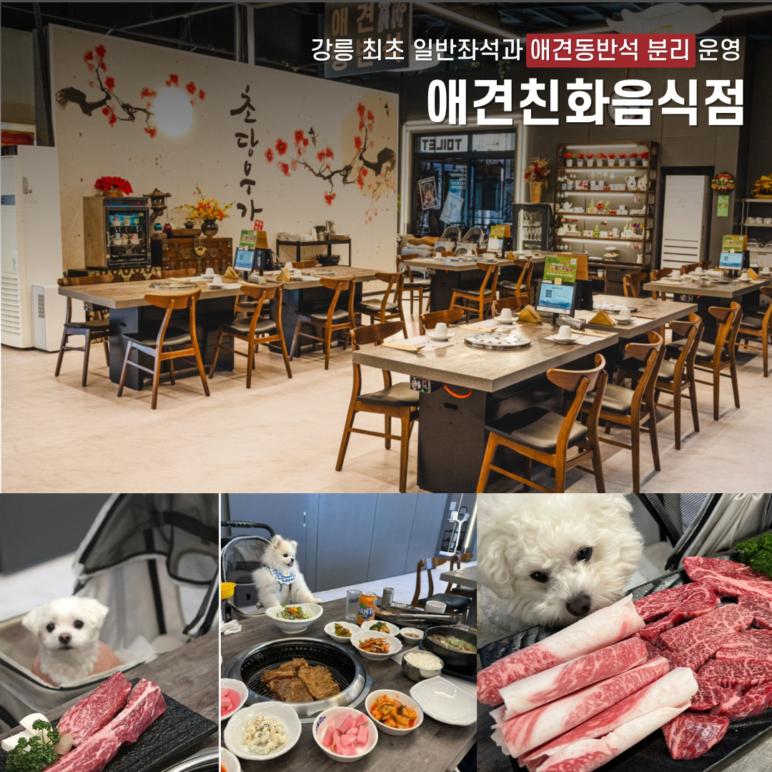 초당우가 강원 애견맛집