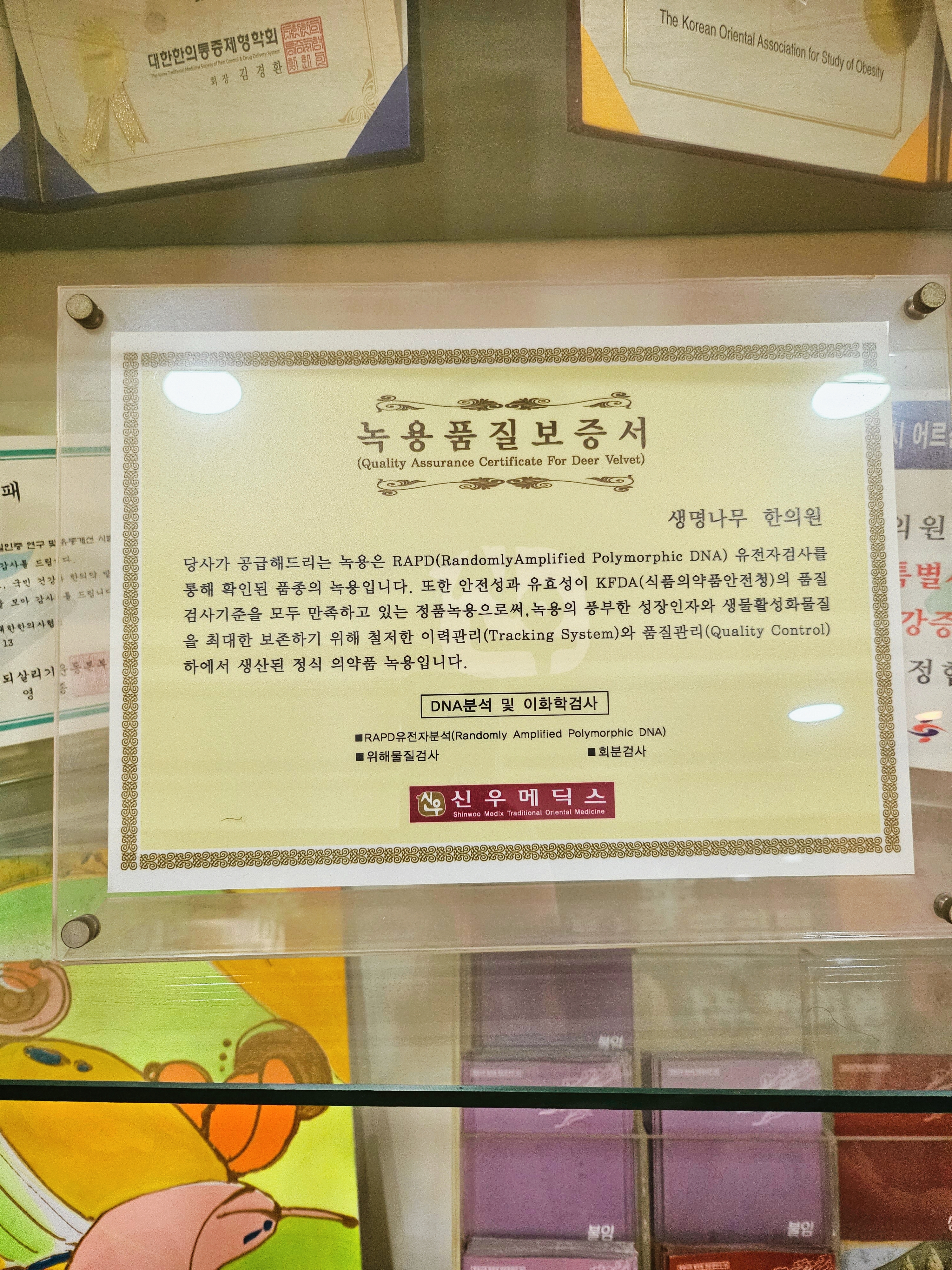 생명나무한의원