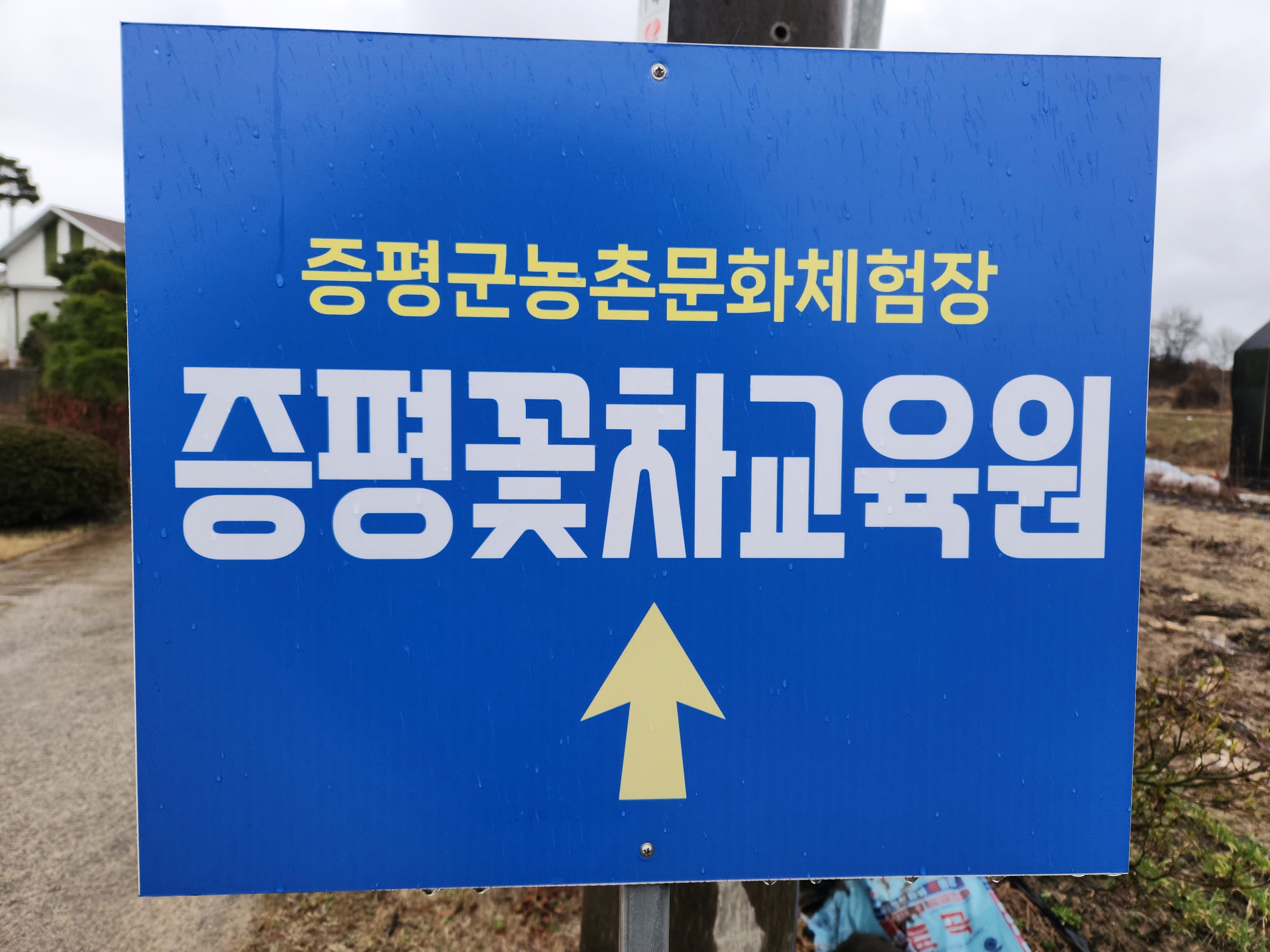 증평꽃차교육원