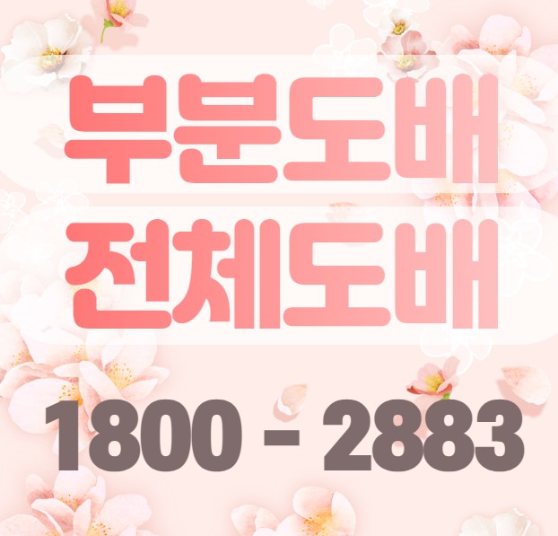 디씨엘스튜디오