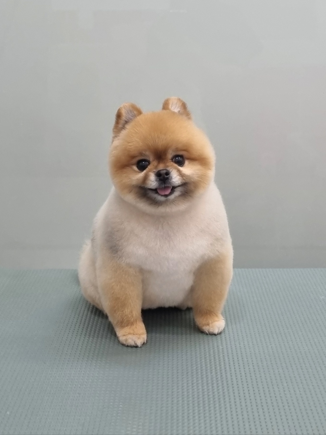 김가네 산호참숯불아나고곰장어